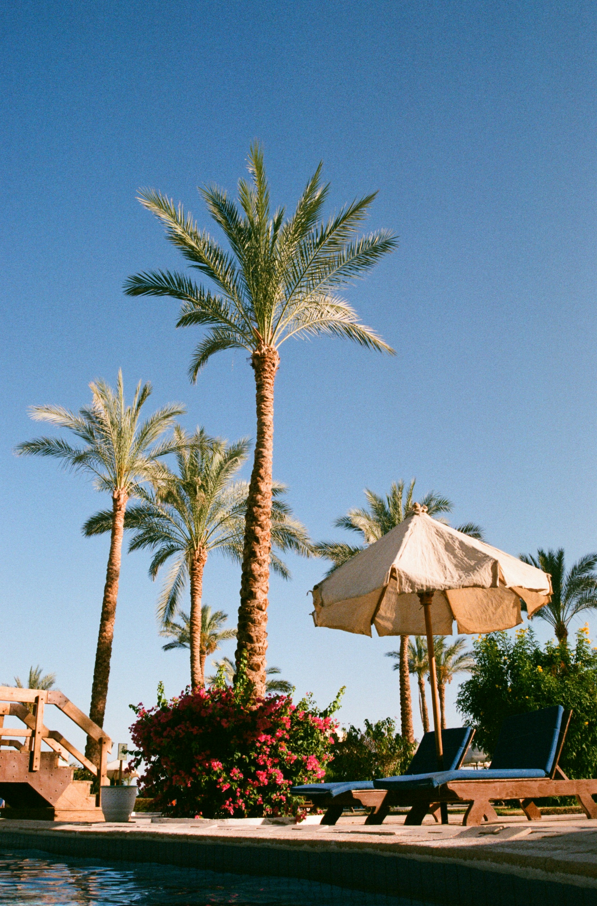 Sharm El Sheikh travel photo