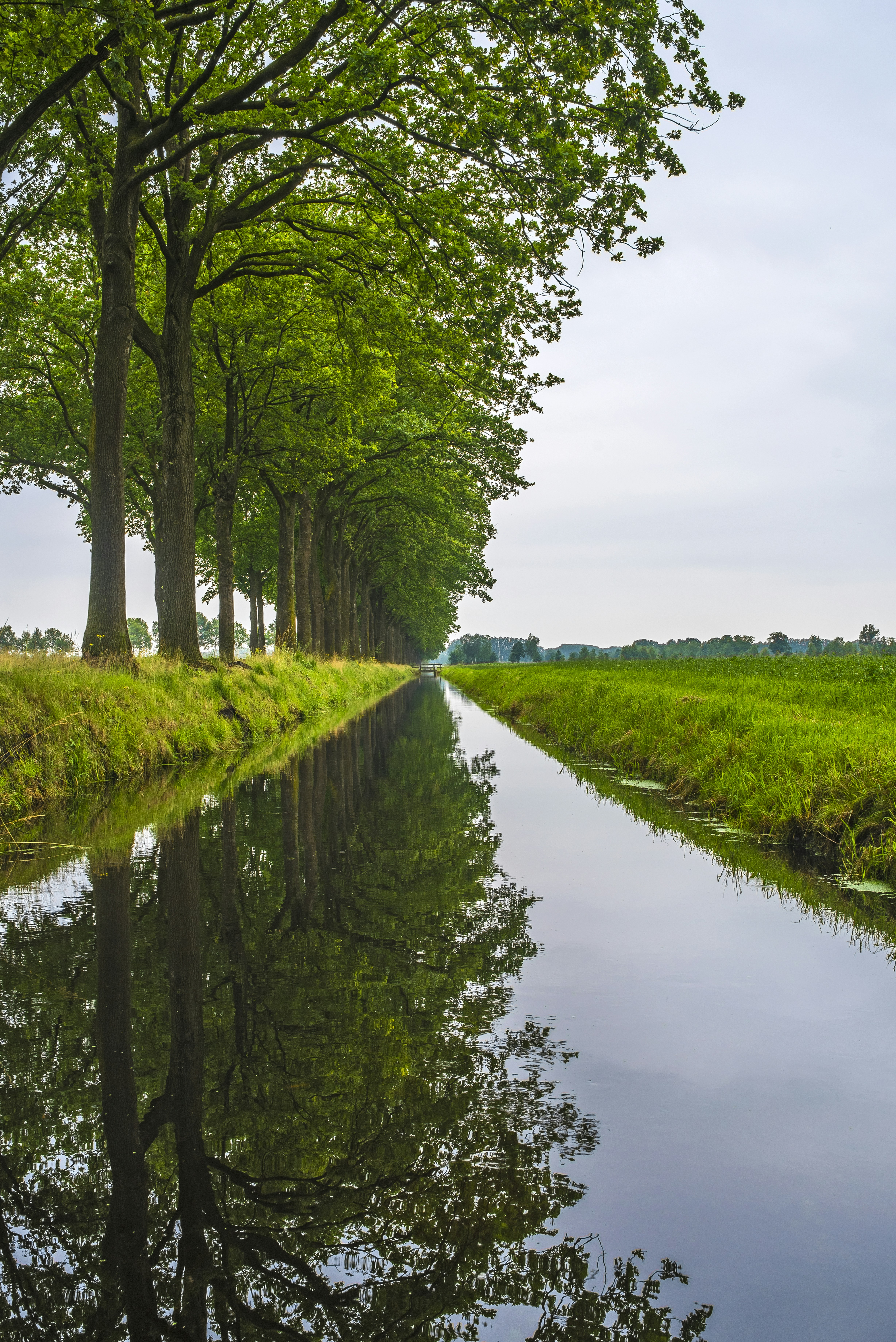 Photo by switch_dtp_fotografie