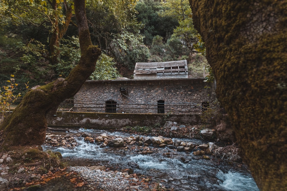 Braunes Holzhaus in der Nähe des Flusses