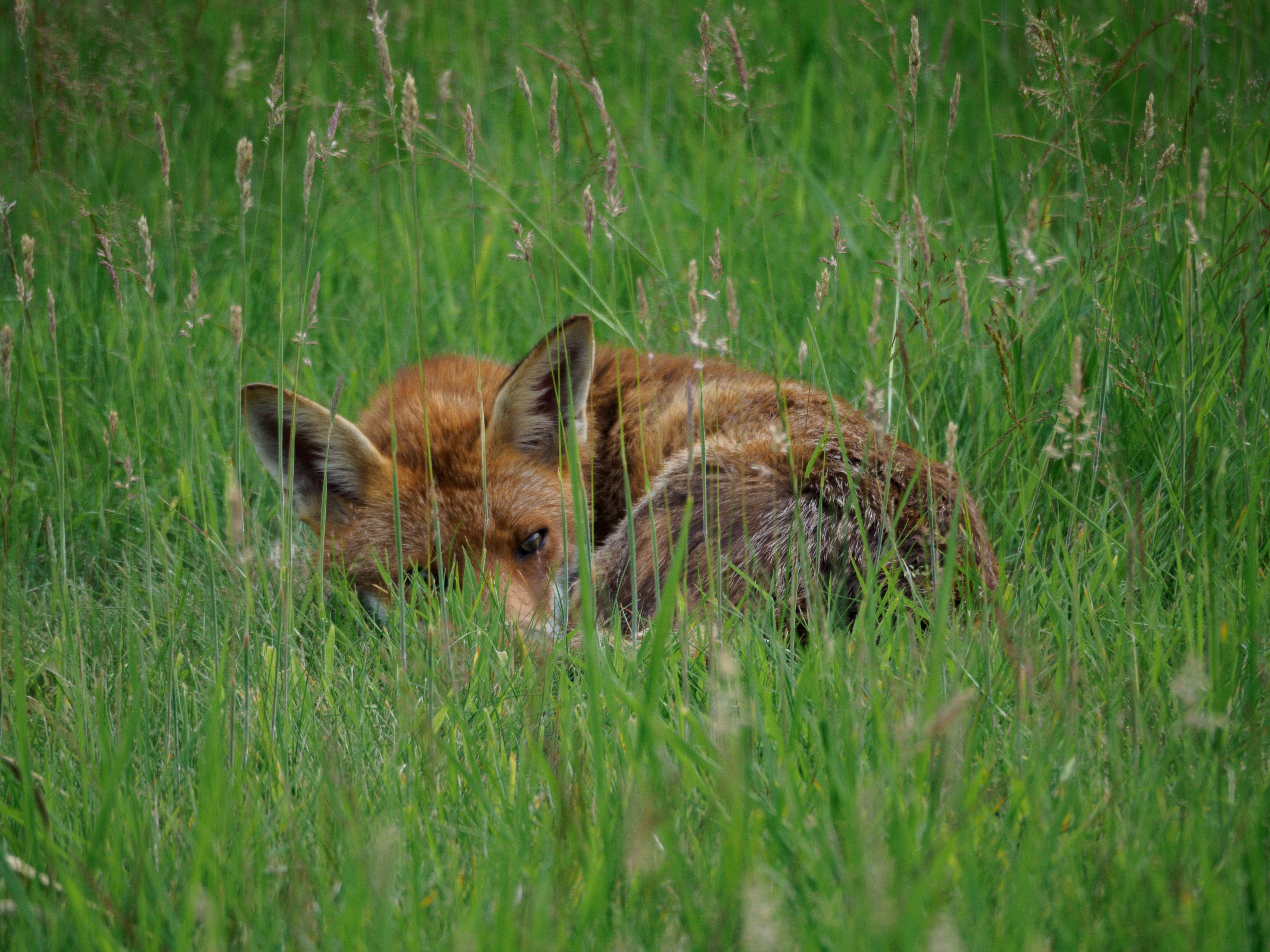 Photo by brett_jordan