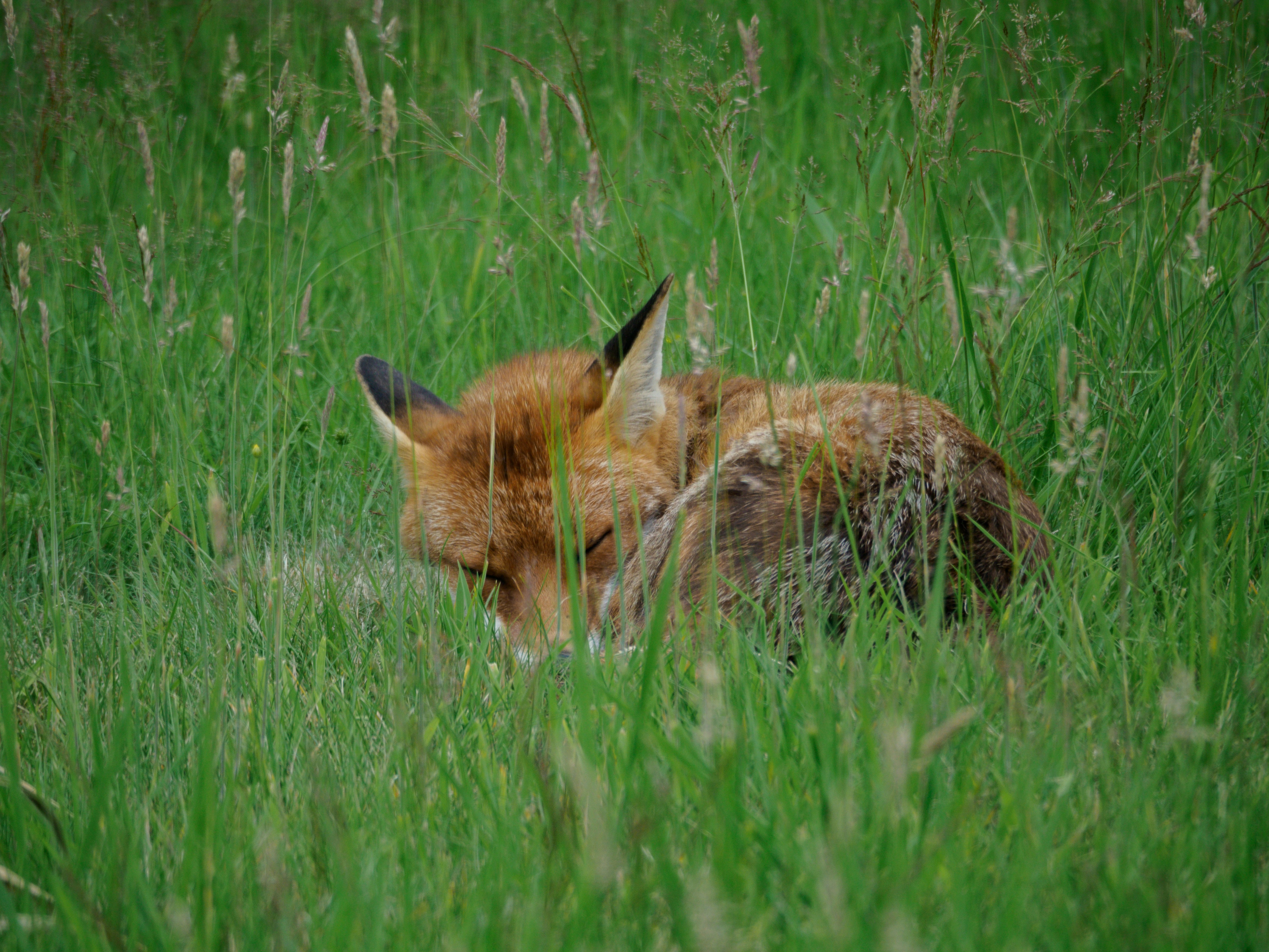 Photo by brett_jordan