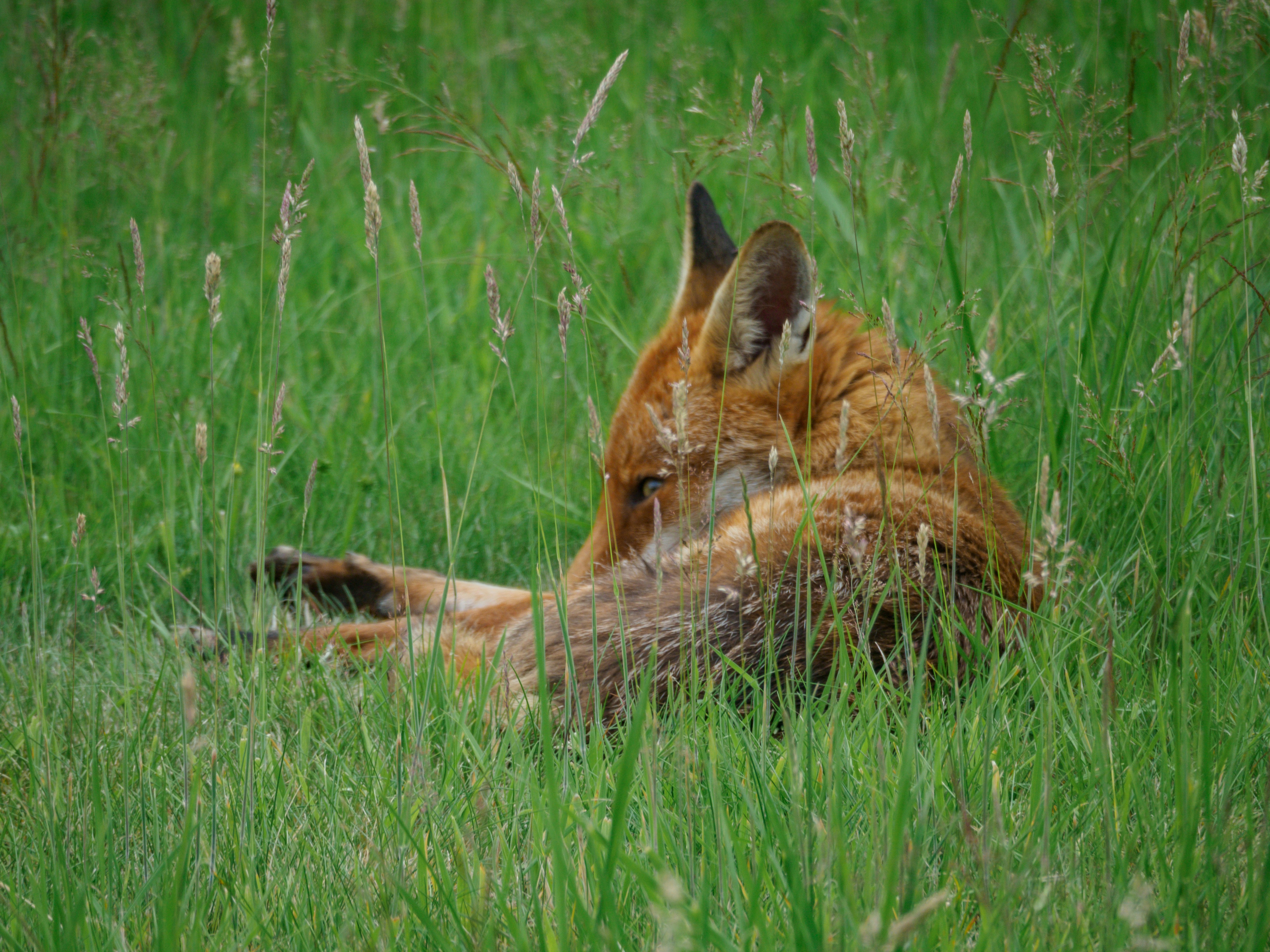 Photo by brett_jordan