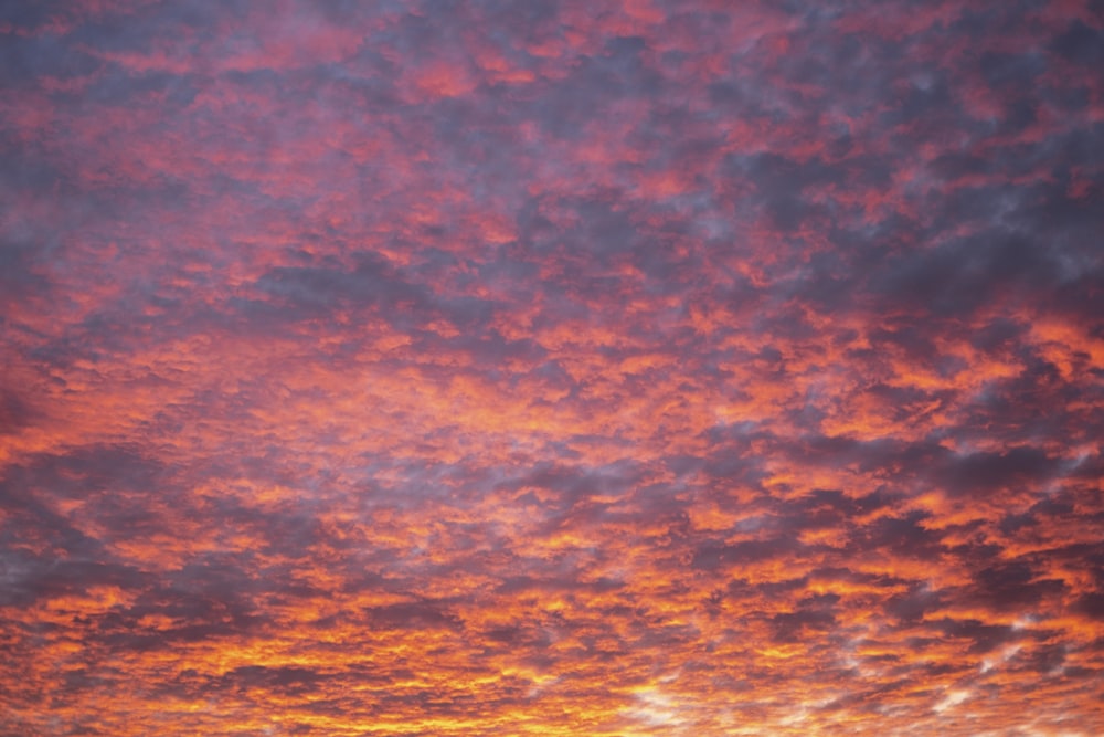 orange and blue cloudy sky