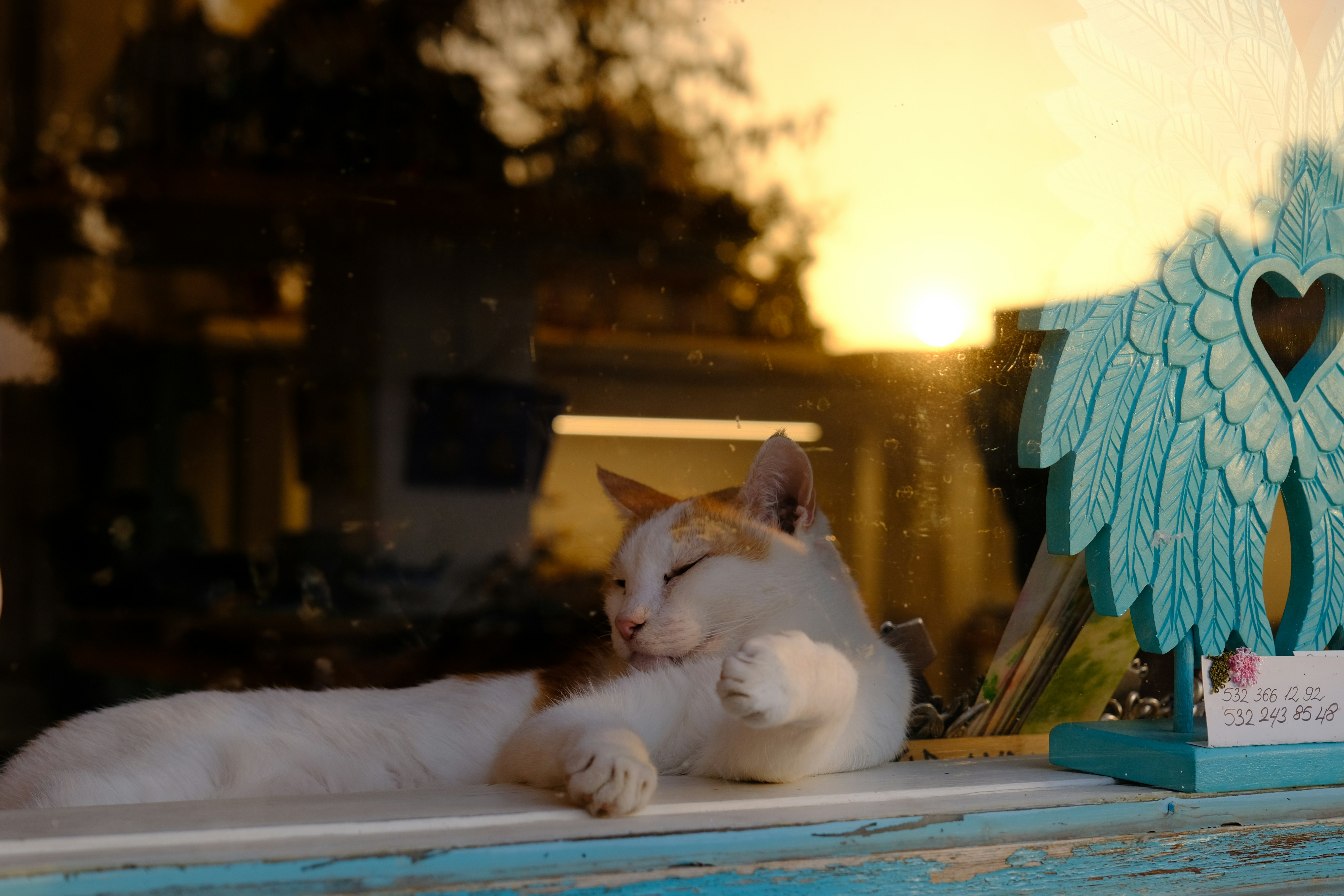 Photo by irfansimsar