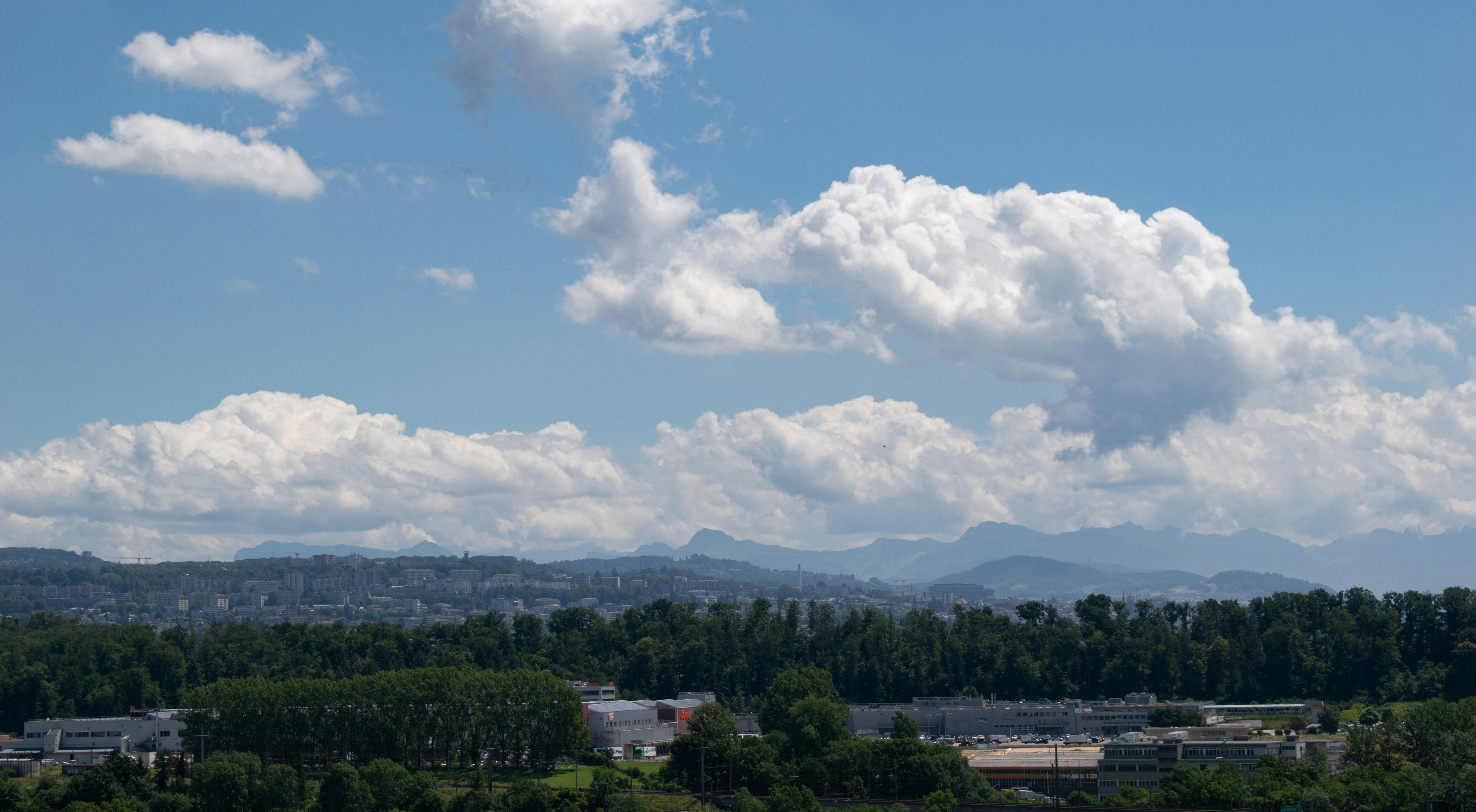 green trees and white clouds during daytime