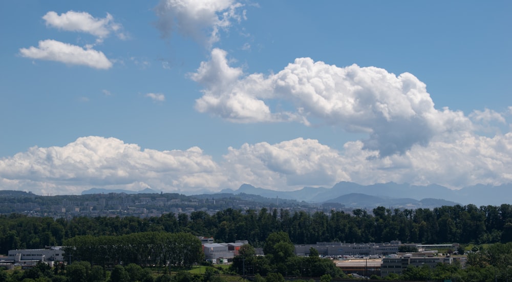 green trees and white clouds during daytime