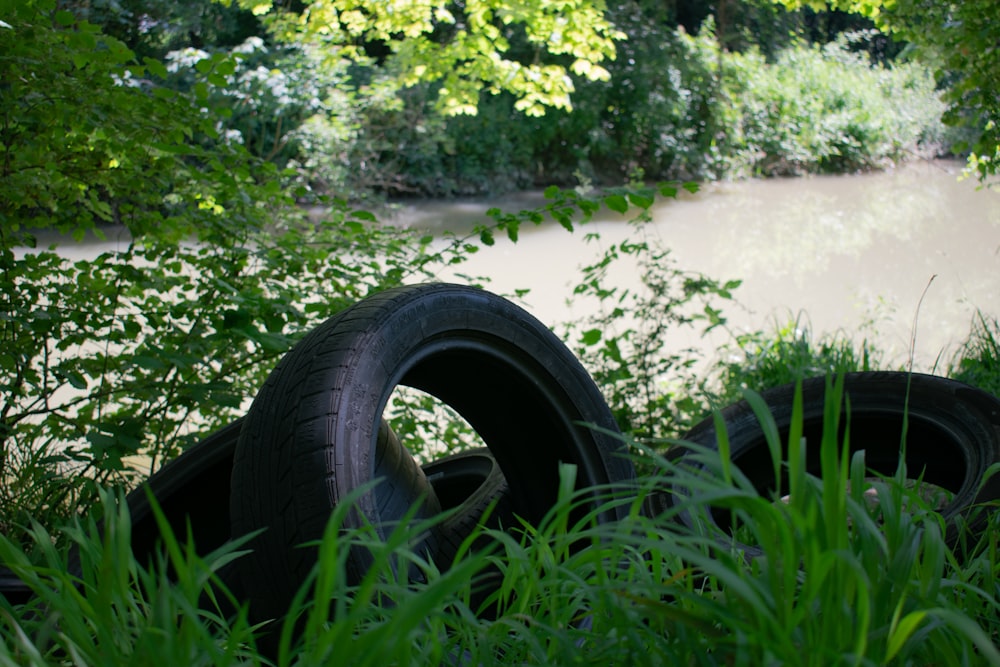 green grass near body of water during daytime