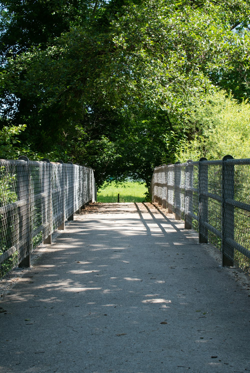 gray concrete pathway between green trees during daytime