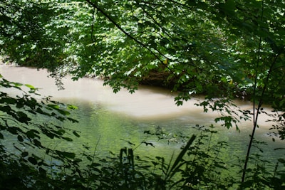 A serene river in Senegal believed to be blessed by Roog, reflecting early morning light.