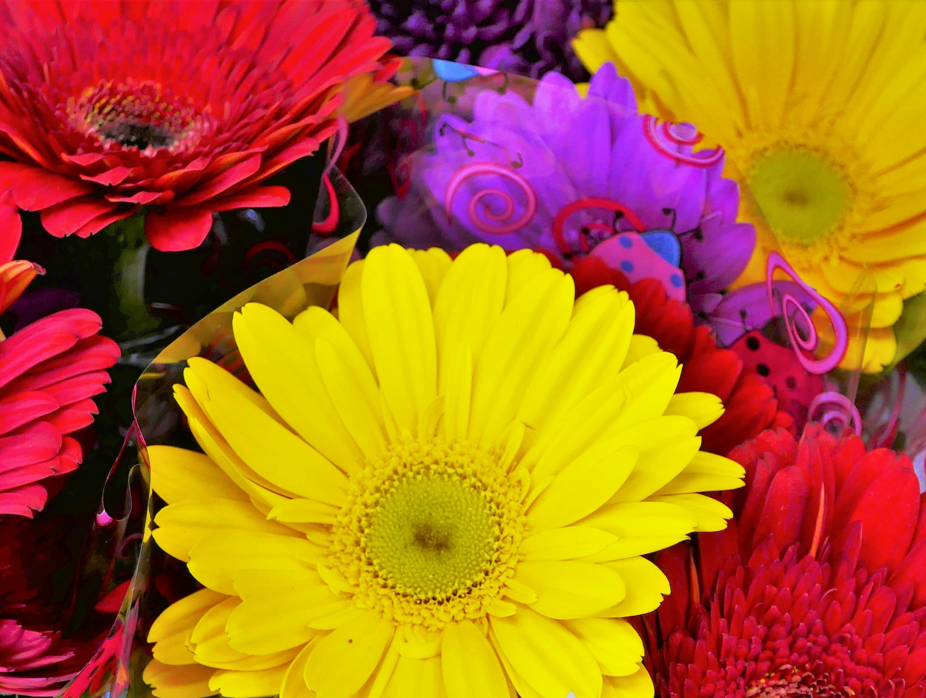 Colorful birthday celebration