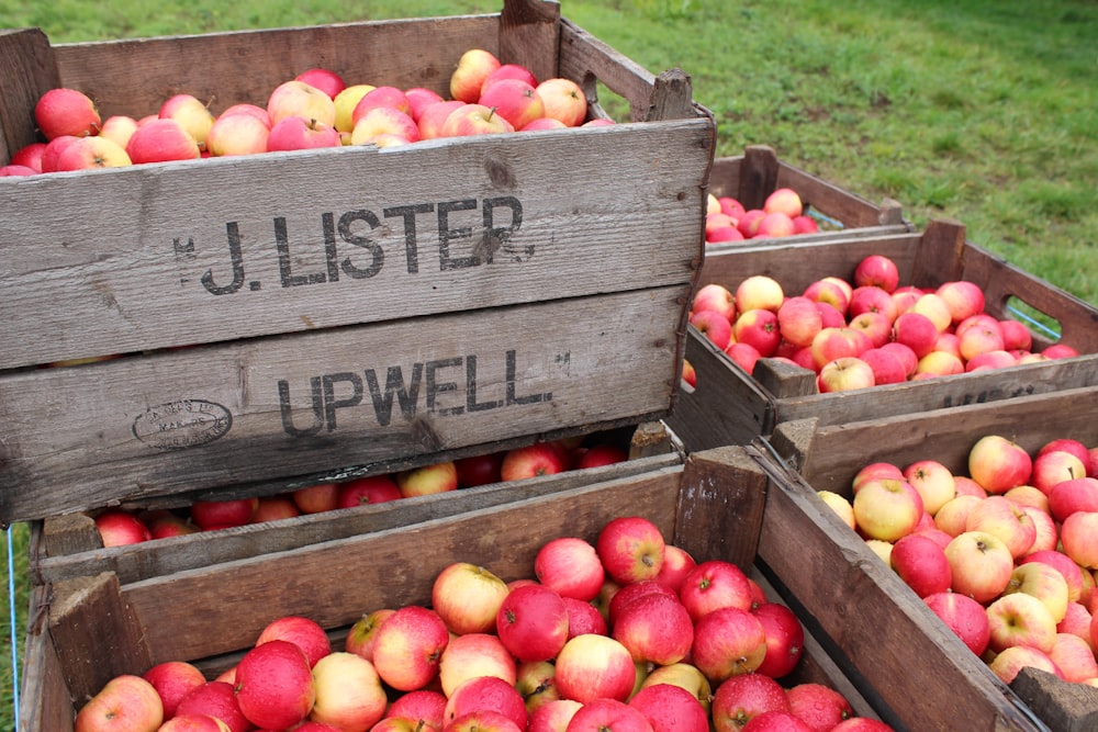 red apples on brown wooden crate