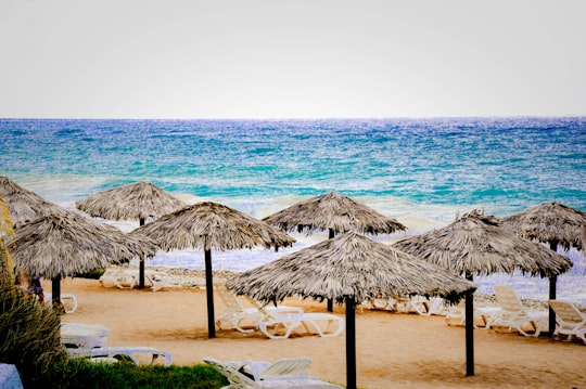 brown wooden beach umbrellas on beach shore during daytime in Tyre Lebanon