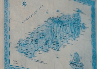 blue and white map illustration