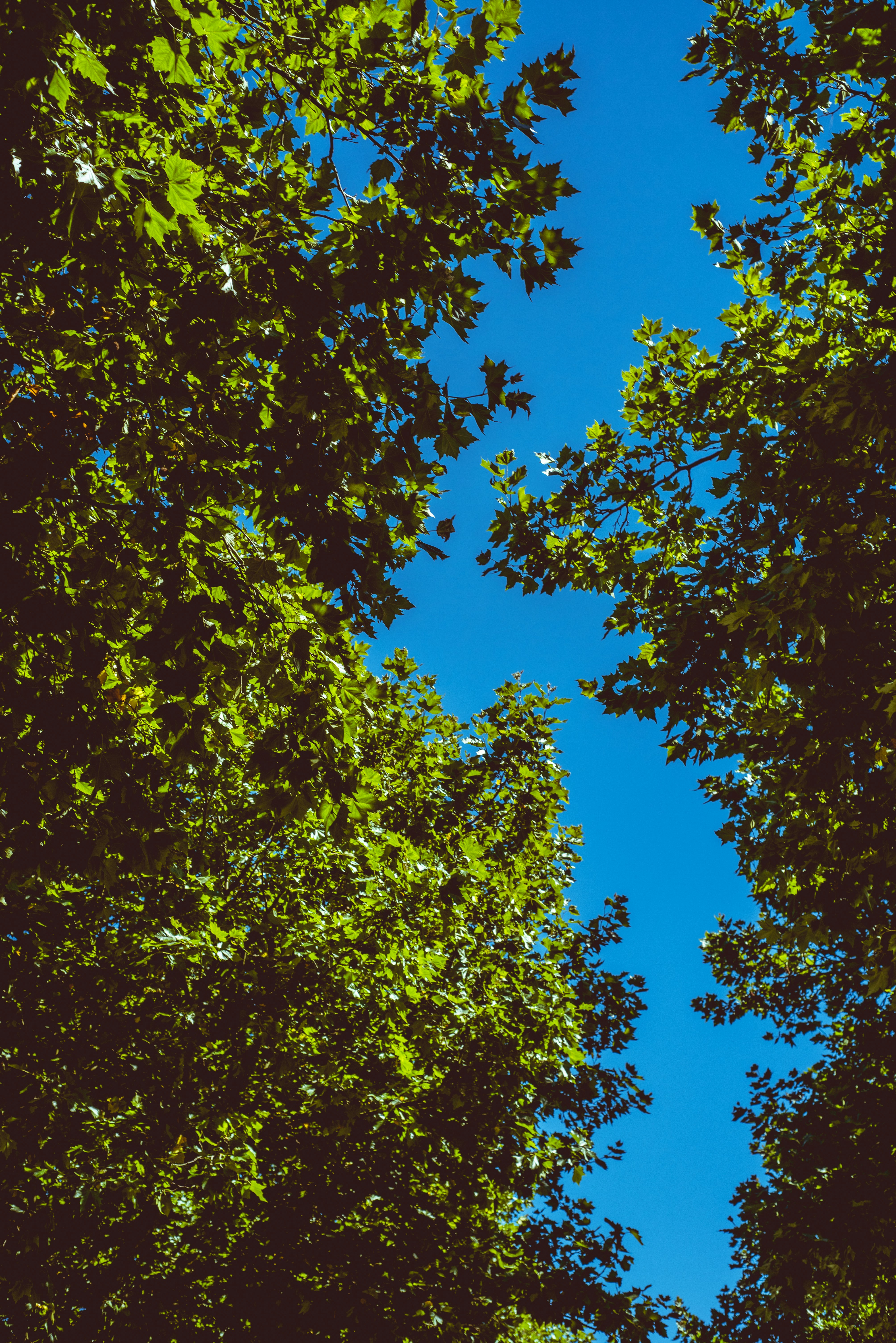 Photo by lucienagasse