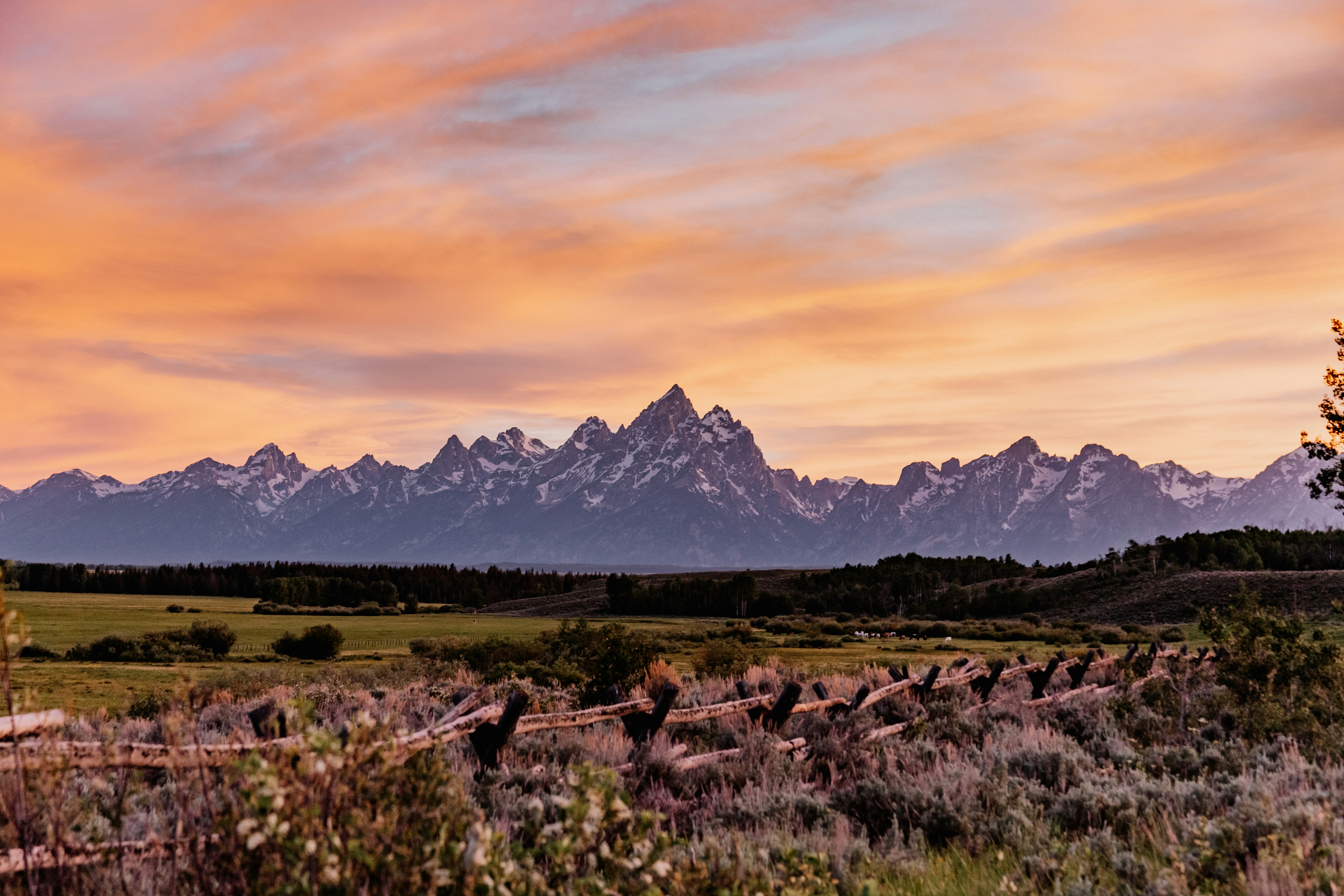 Photo by isaacmartin