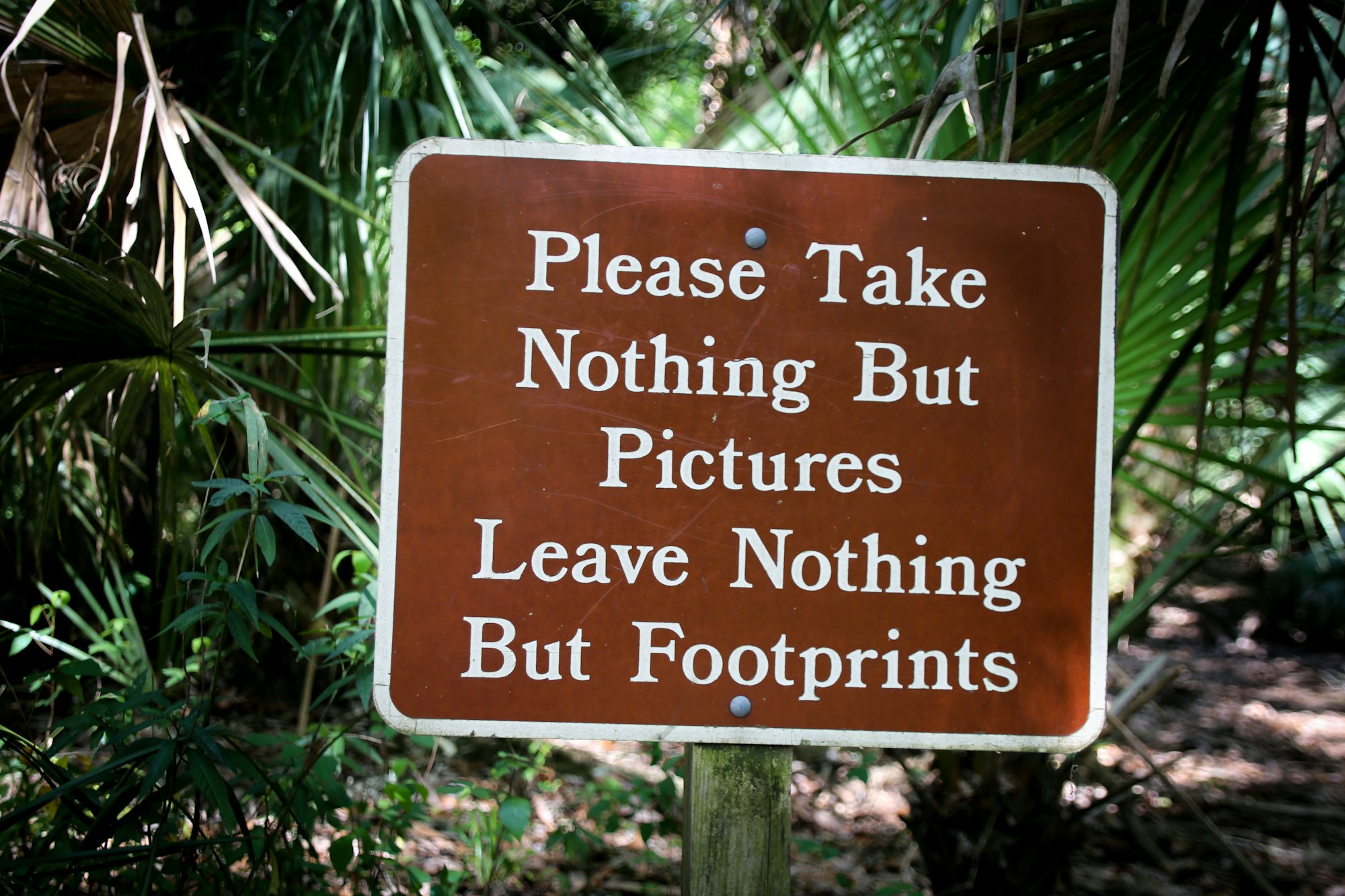 Schild im Walt auf dem steht "Take nothing but pictures, leave nothing but footprints."