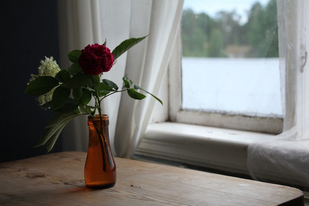red rose in orange glass vase