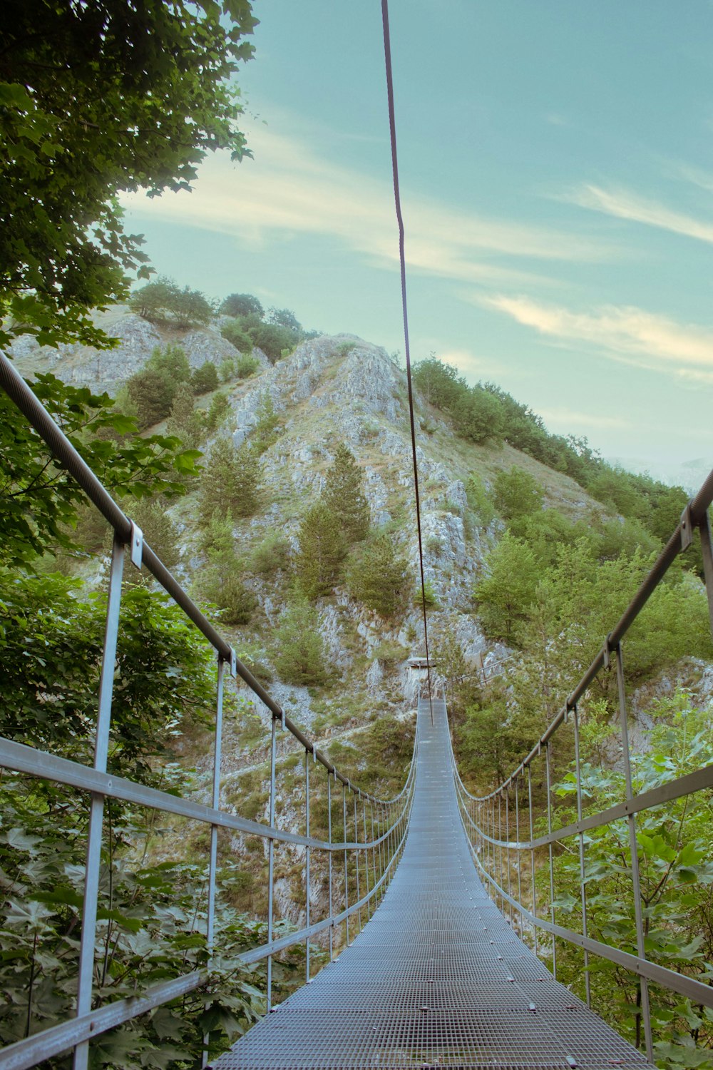 gray wooden hanging bridge over green trees during daytime