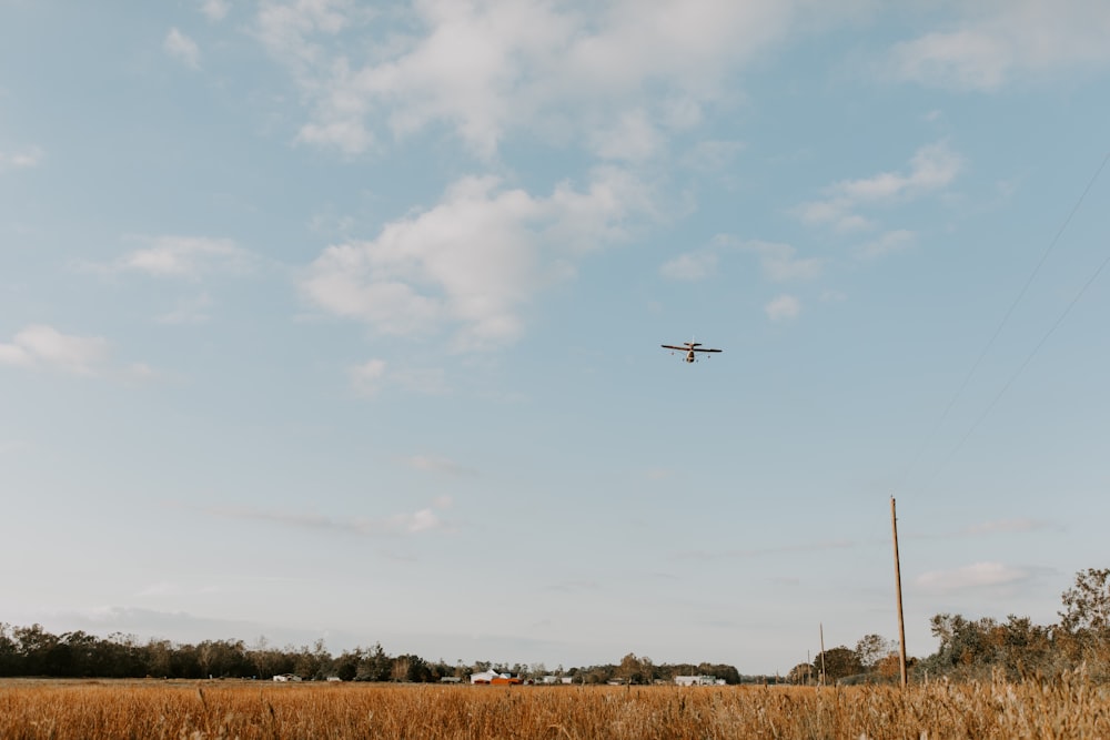 black airplane flying over brown grass field during daytime