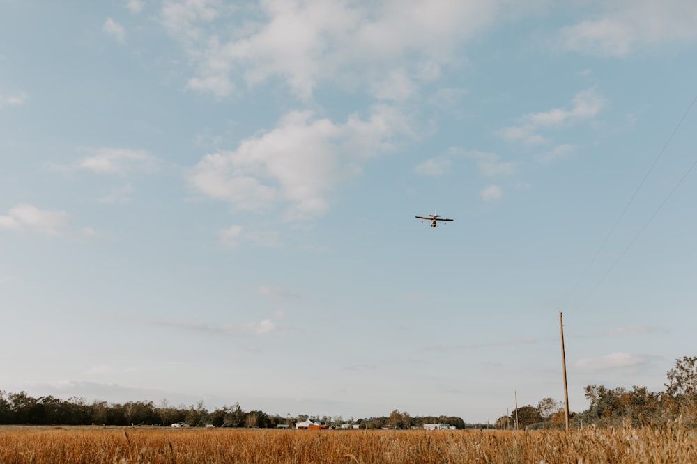 Aeroplano nero che vola sopra il campo di erba marrone durante il giorno