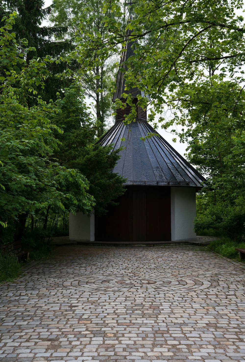 green trees near brown wooden house