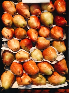 Workers carefully selecting and packing pears in the modern cold storage facility.