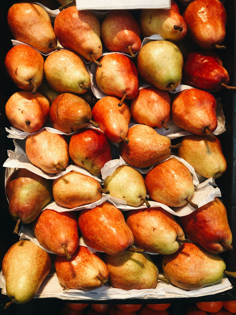 red and yellow round fruits