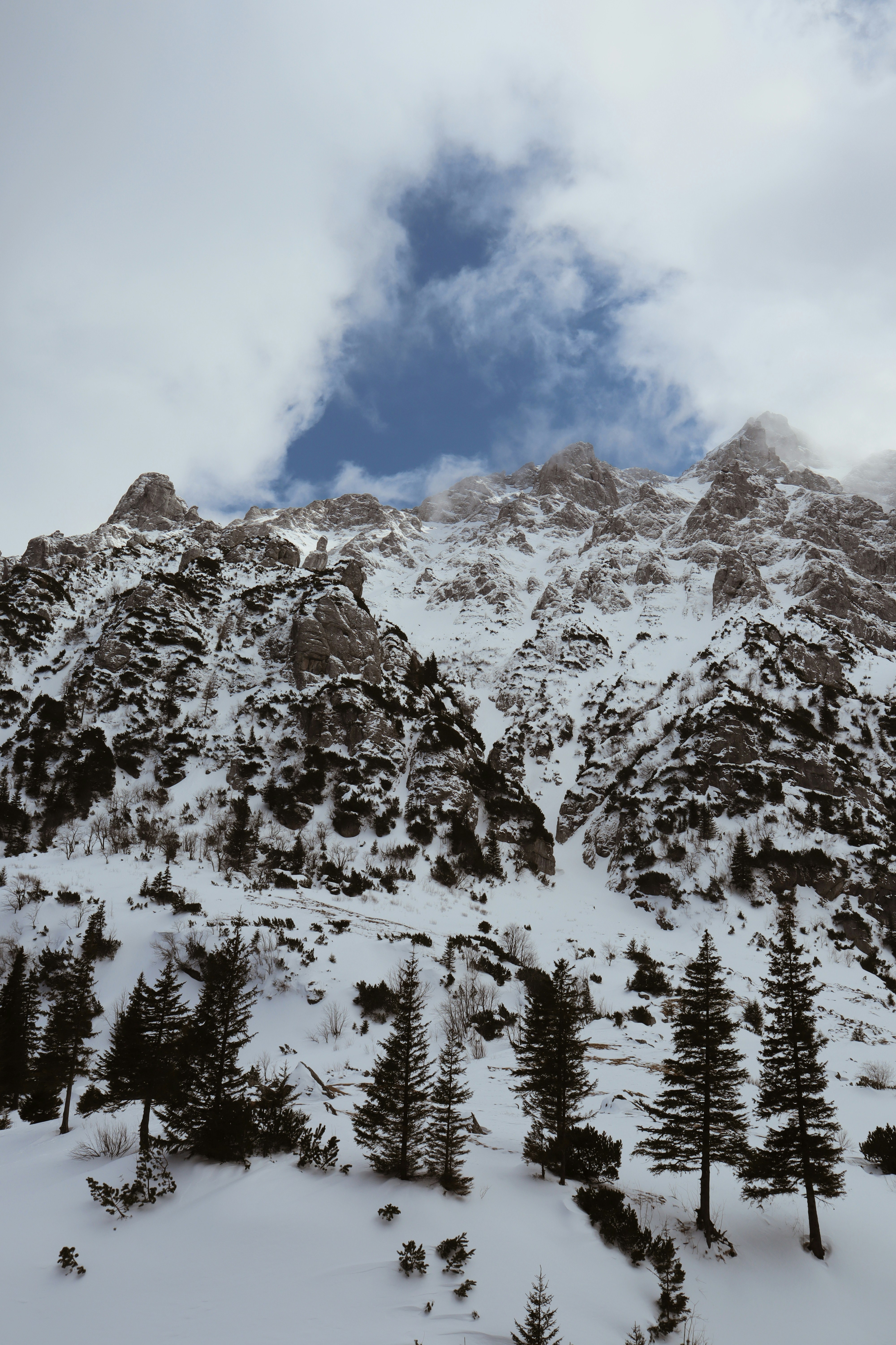 Photo by emanuelminca