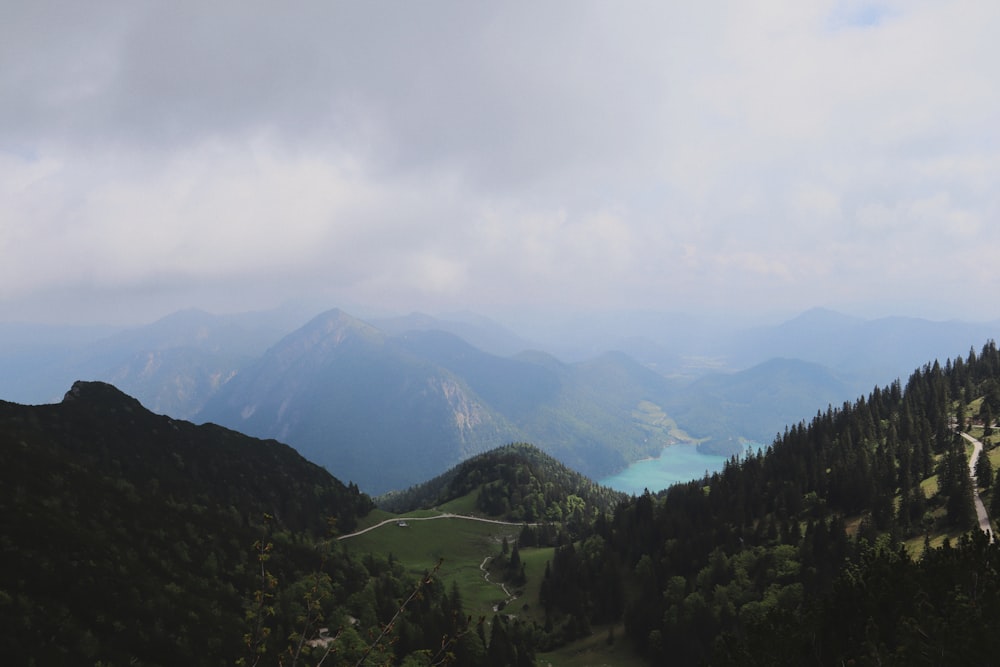 green trees on mountain under white clouds during daytime