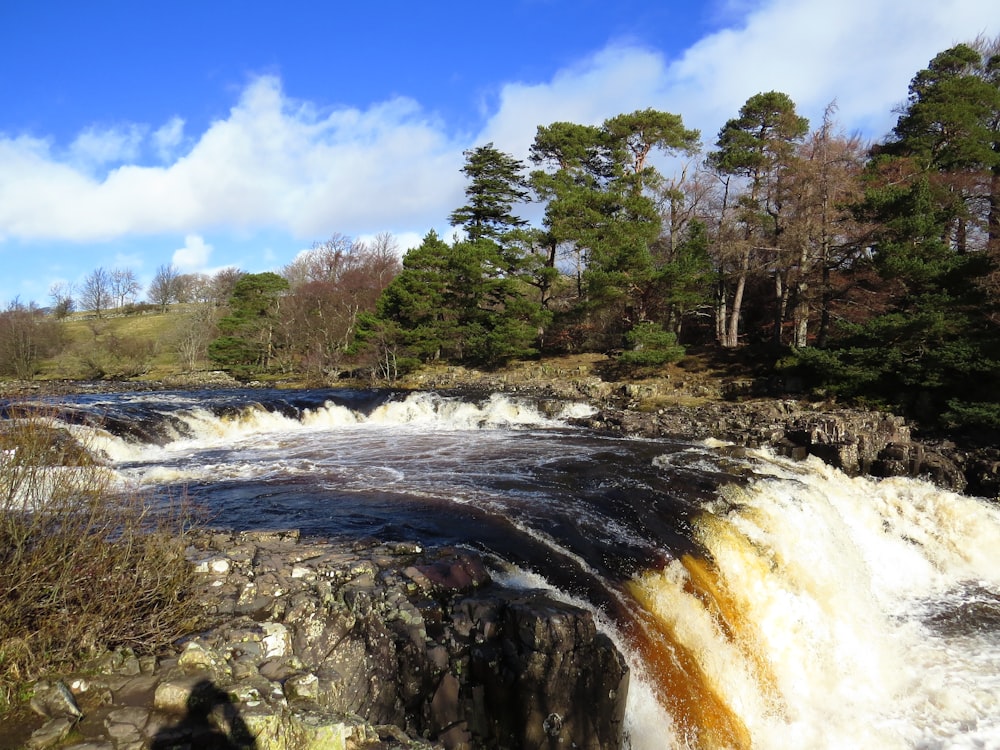 waterfalls near green trees under blue sky during daytime