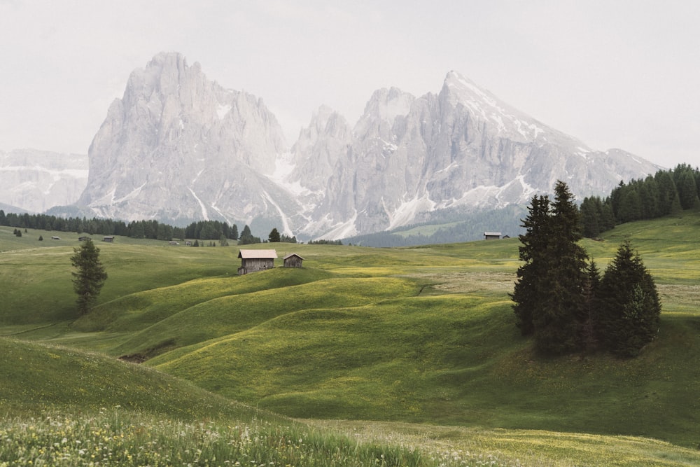 Champ d’herbe verte près des montagnes blanches et noires pendant la journée