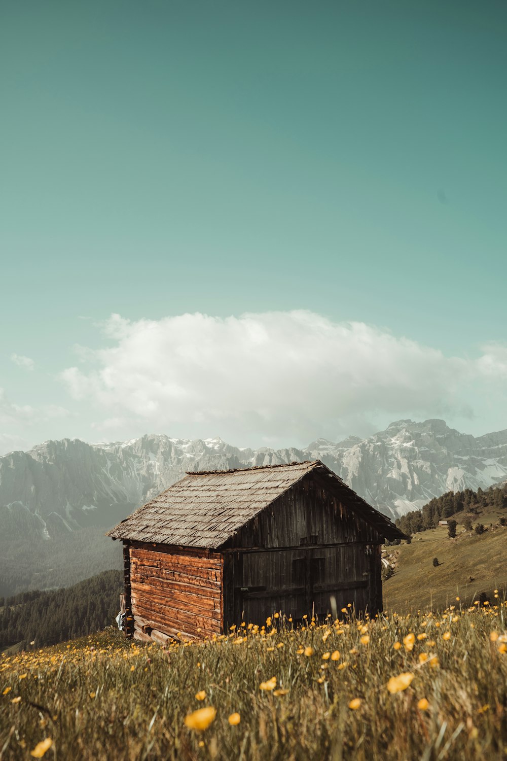 Braunes Holzhaus auf grünem Grasfeld in der Nähe von Berg unter blauem Himmel tagsüber