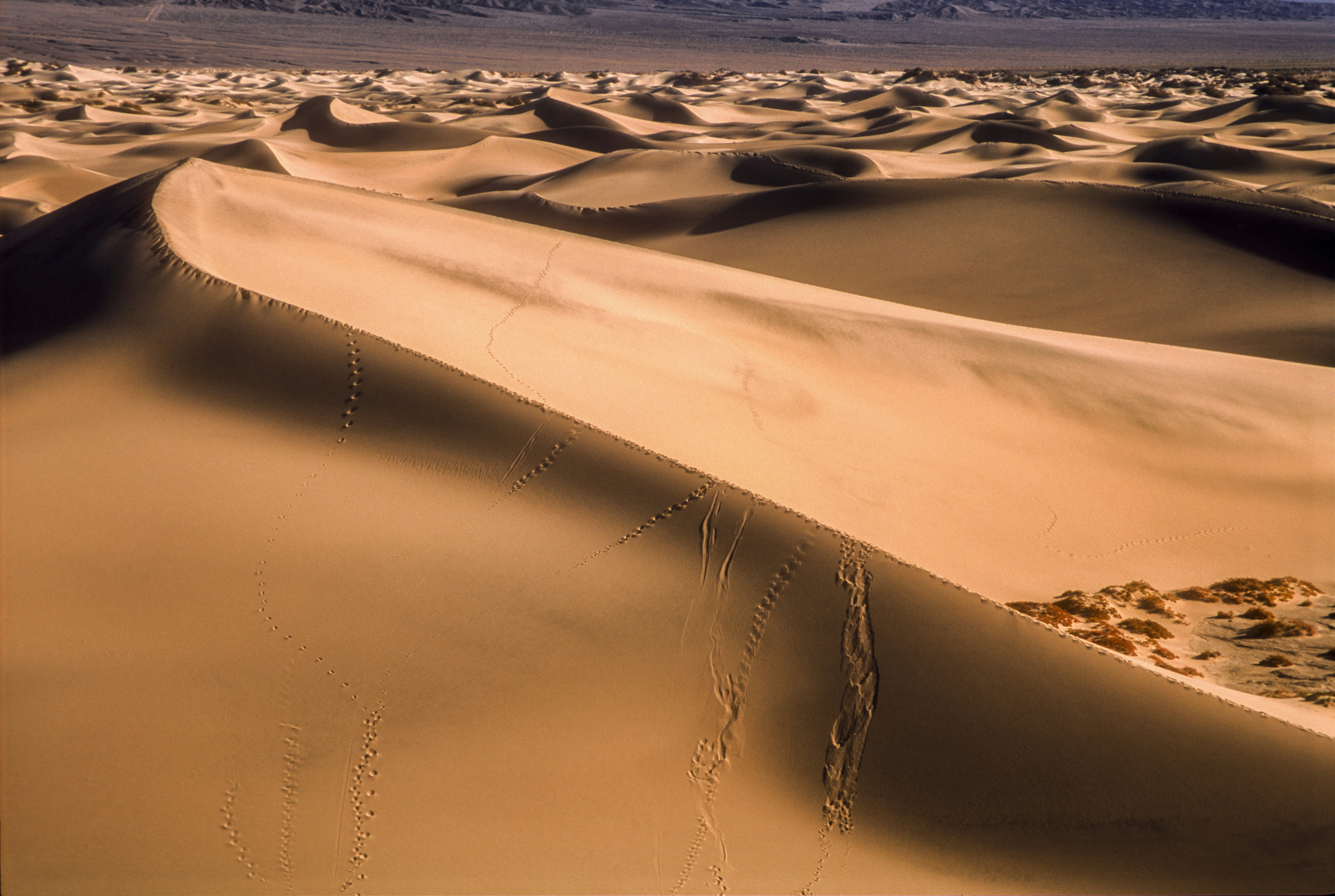 blue body of water during daytime, I moved across the country in 2005 and the first place I went to while moving out of California was Death Valley. So stark and amazing. | Shot on Fuji Provia slide film, Canon A2E, scanned on Nikon CoolScan 4000