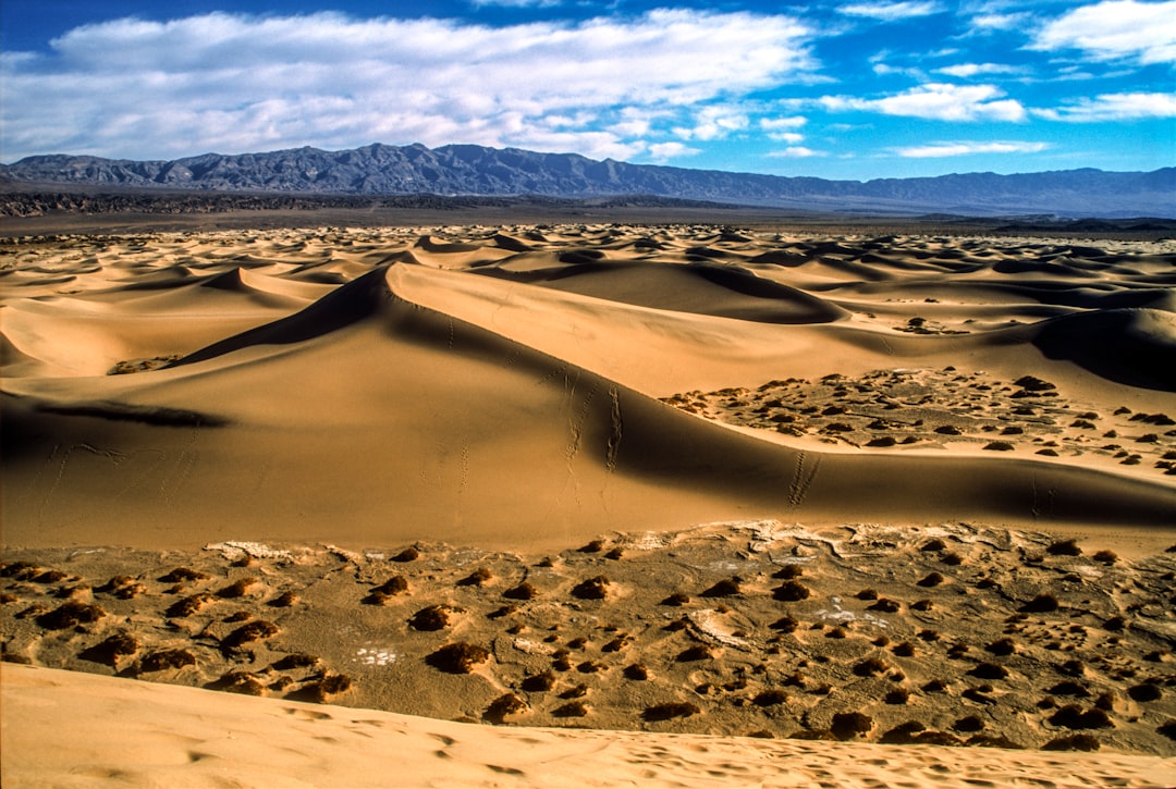 Scale New Heights: California&#8217;s Tallest Sand Dunes Now Open for Exploration in Death Valley