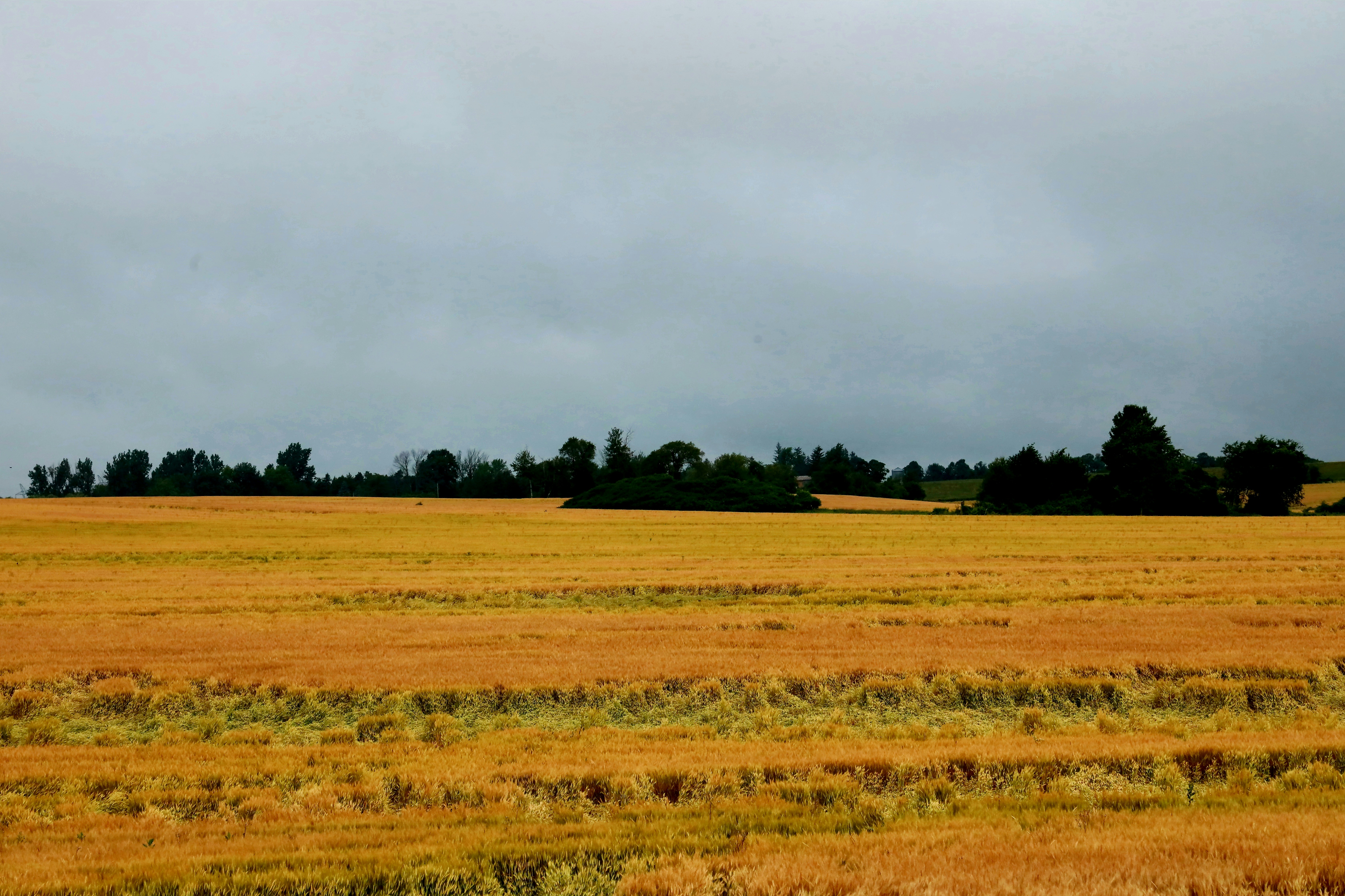 Photo by richardworks