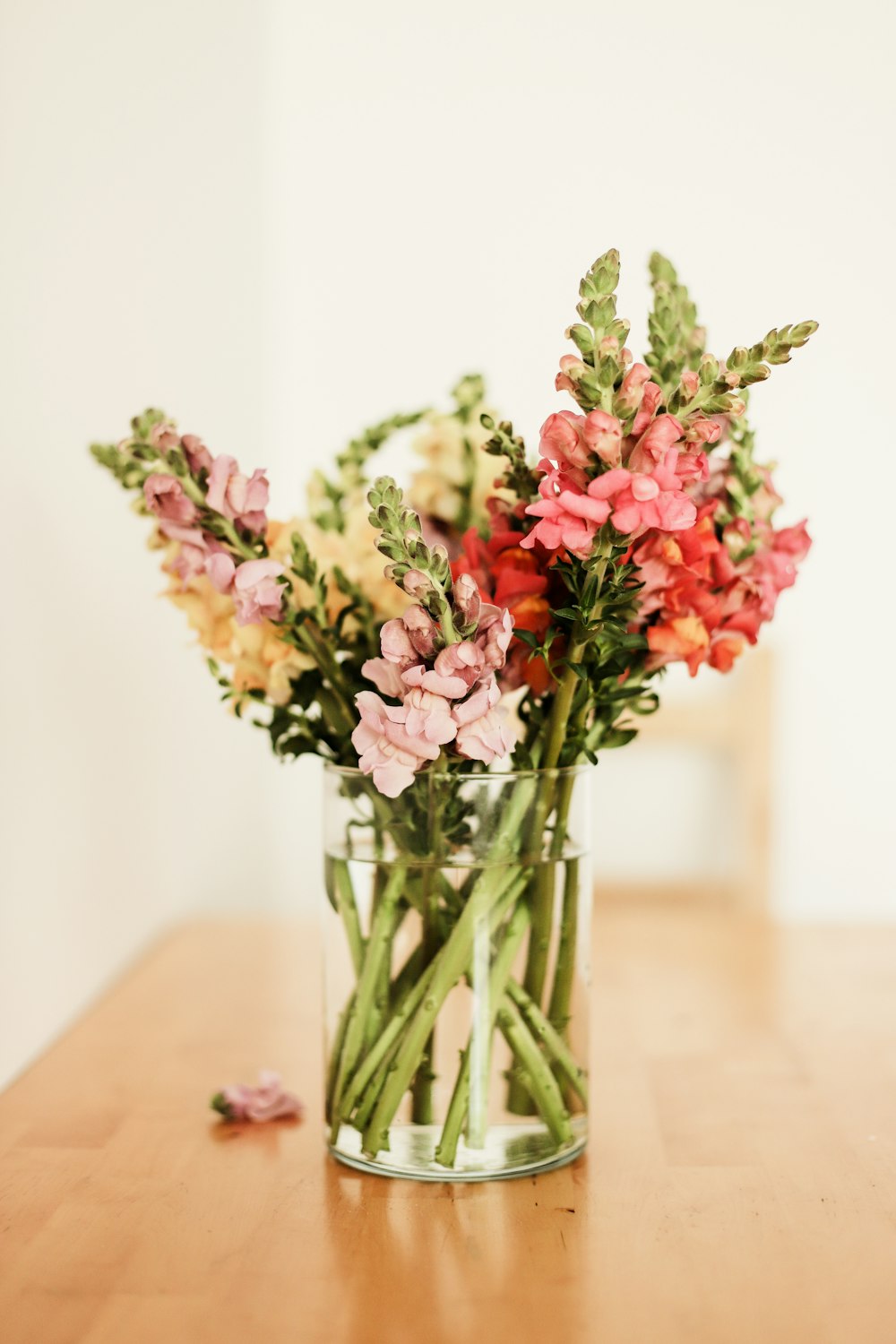 pink and white flowers in clear glass vase