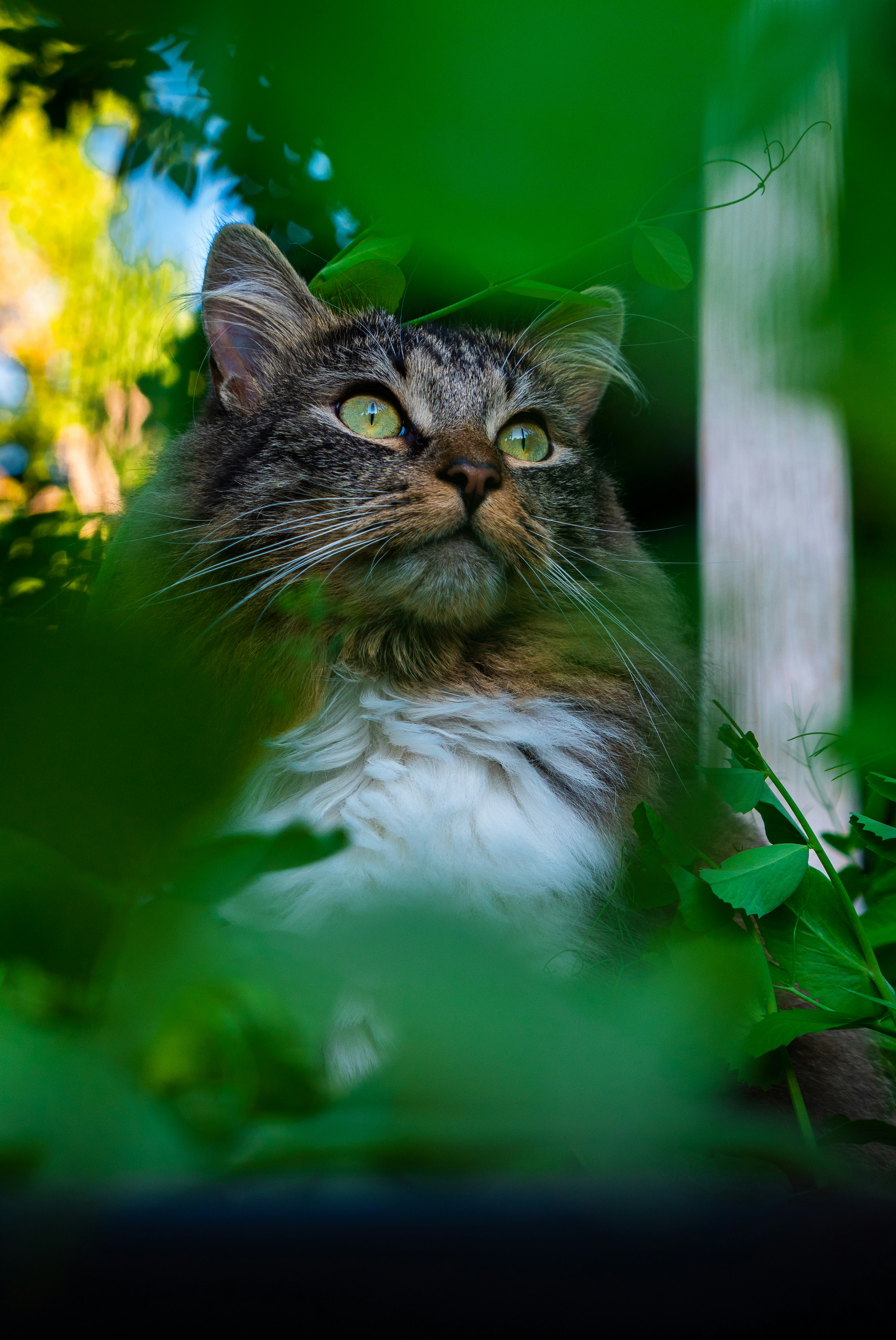 Photo by phoenix_dorninger_photos