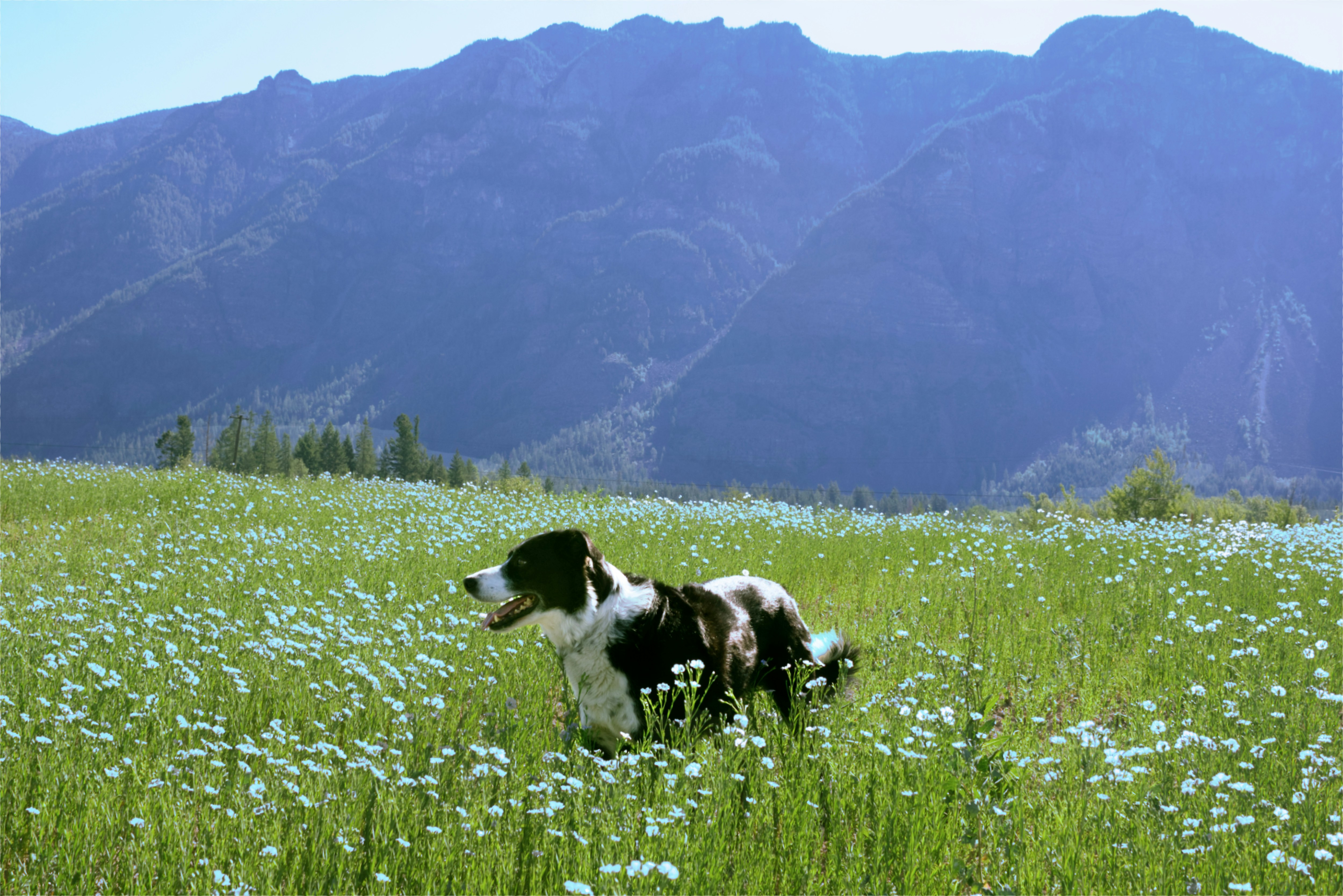 Perhaps you need a “Perseverance Prayer”