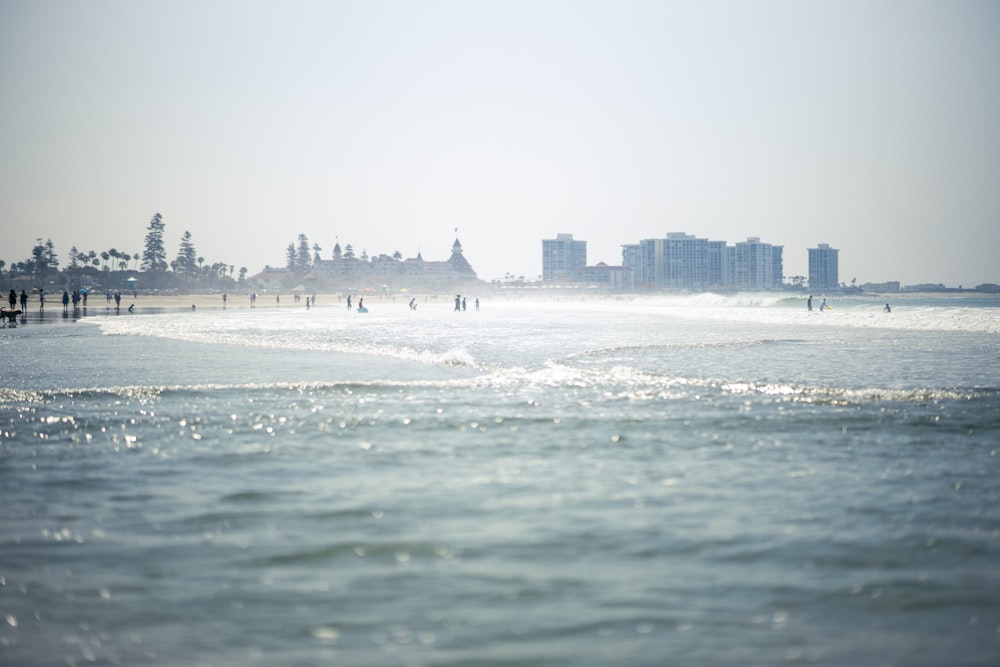 people on beach during daytime