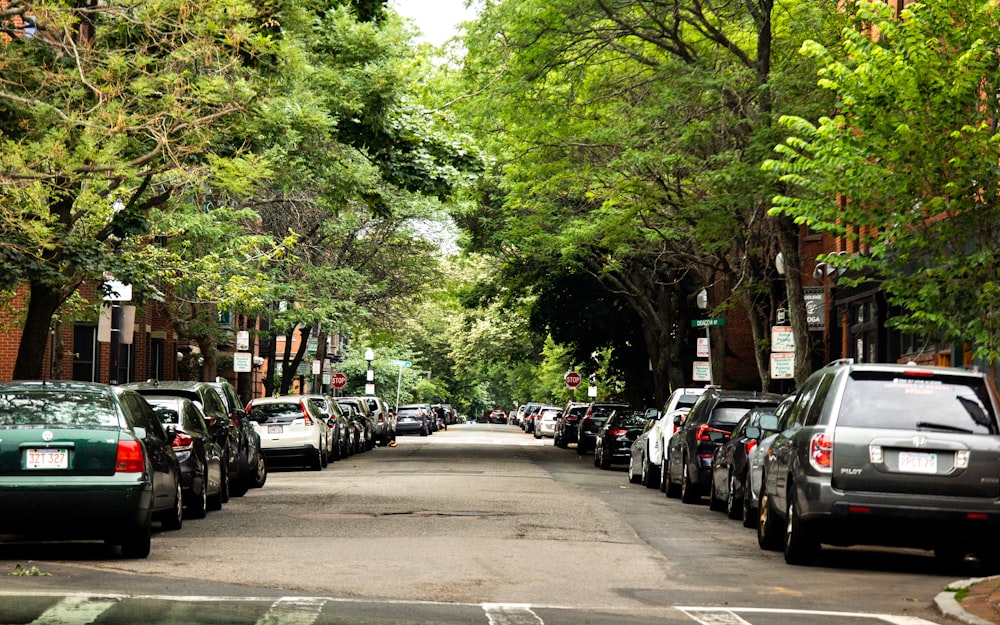 cars parked on the side of the road during daytime