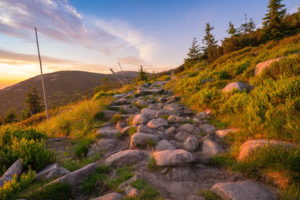 Graue Felsen auf grünem Grasfeld tagsüber