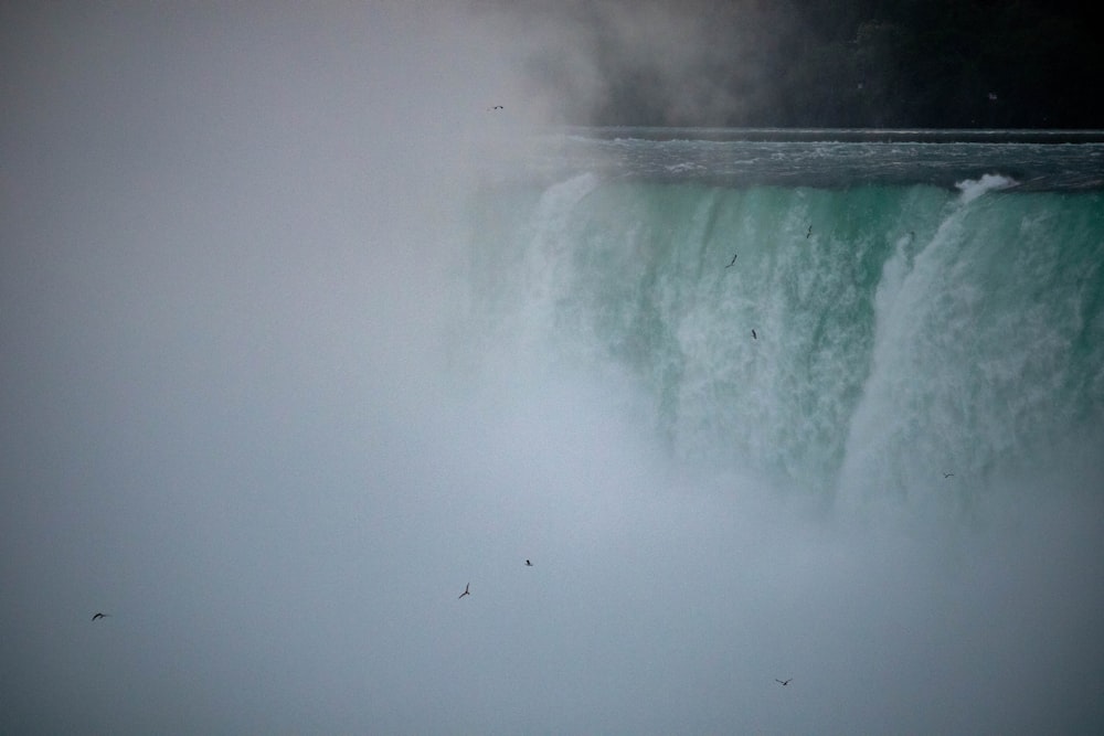 birds flying over water falls