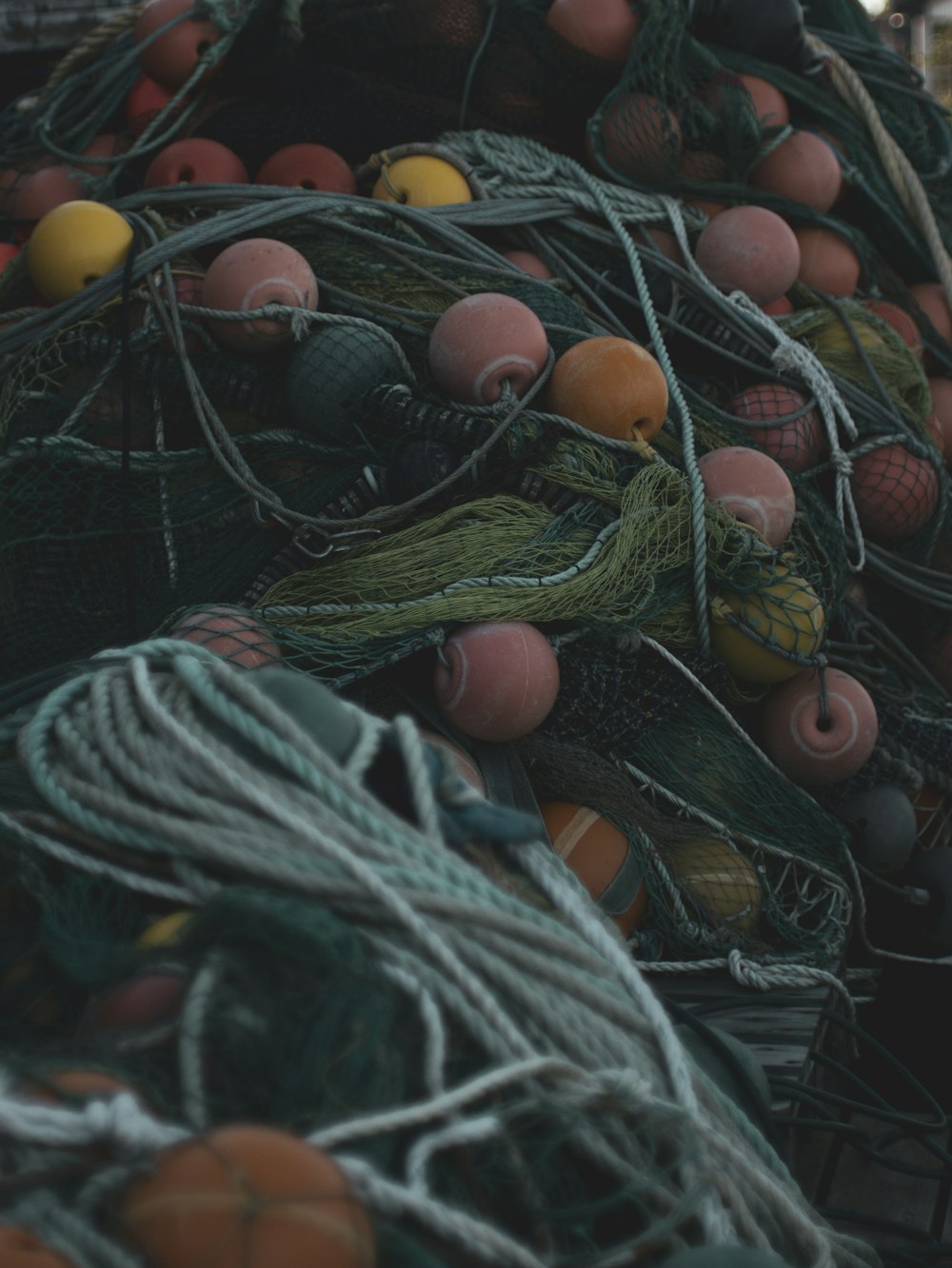 yellow round fruits on green net