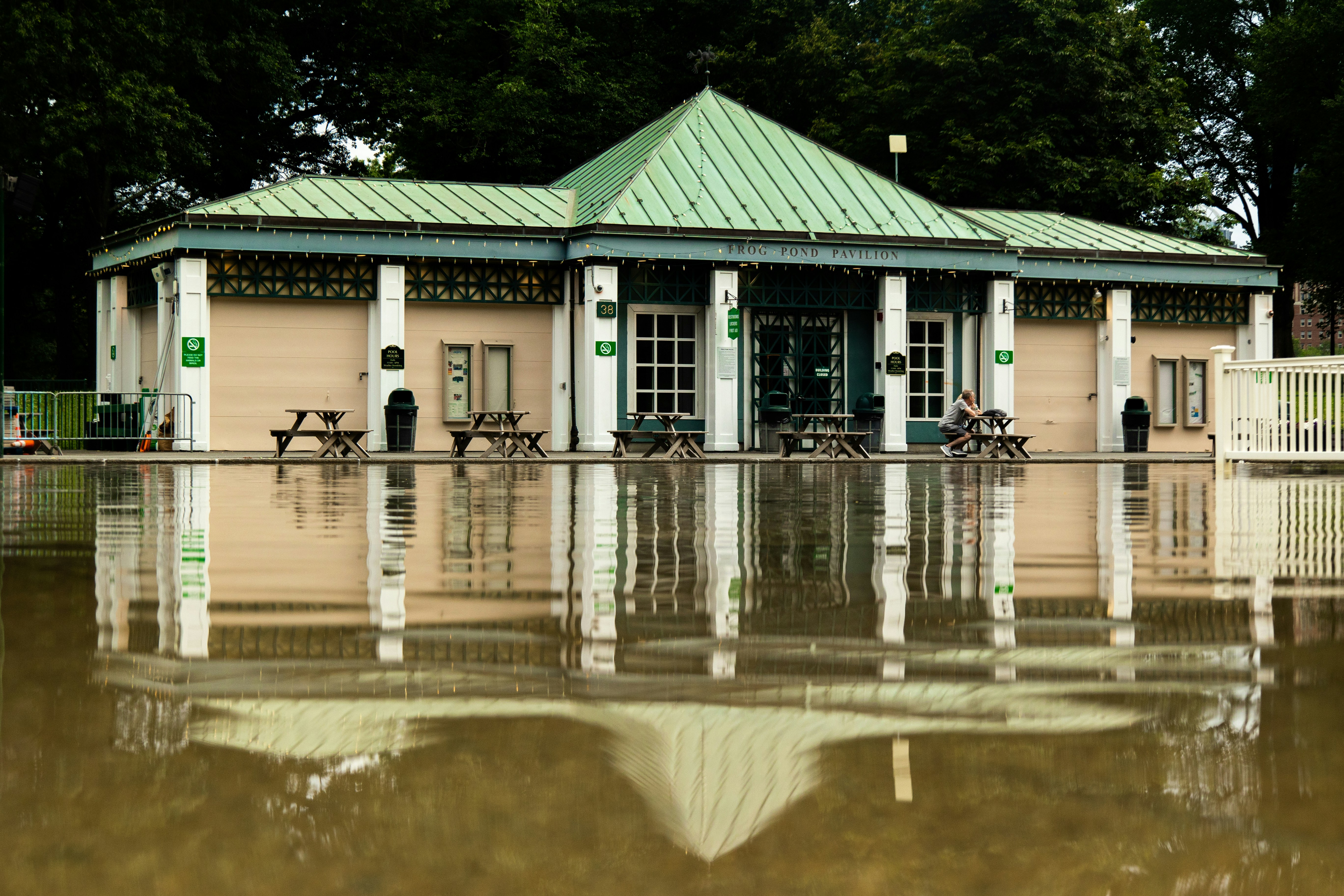 Boston Common Frog Pond