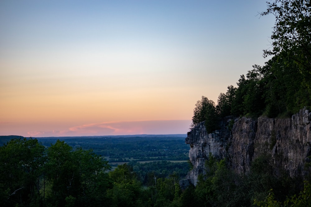 arbres verts sur la montagne pendant la journée