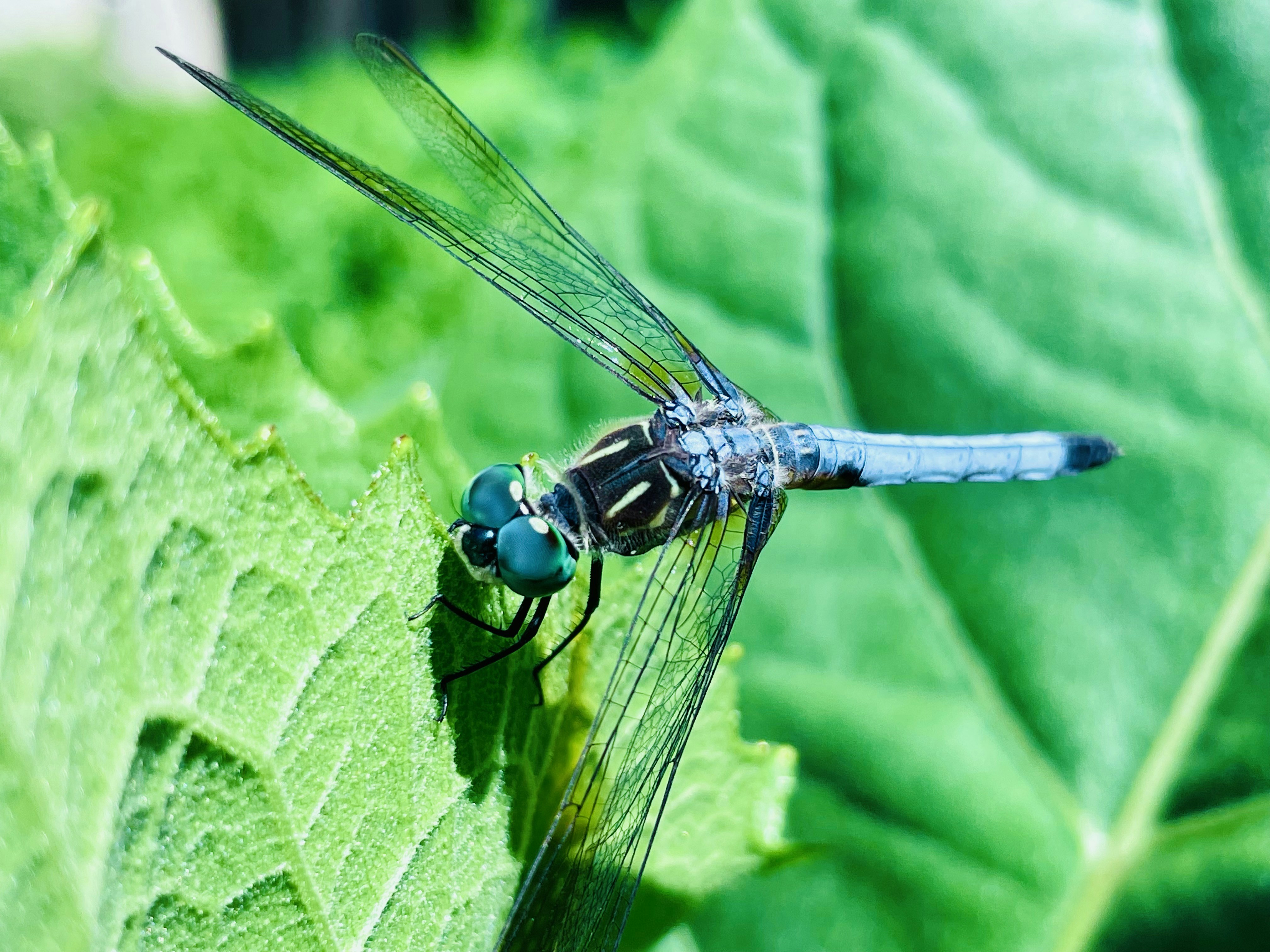 Photo by dannyboy4125