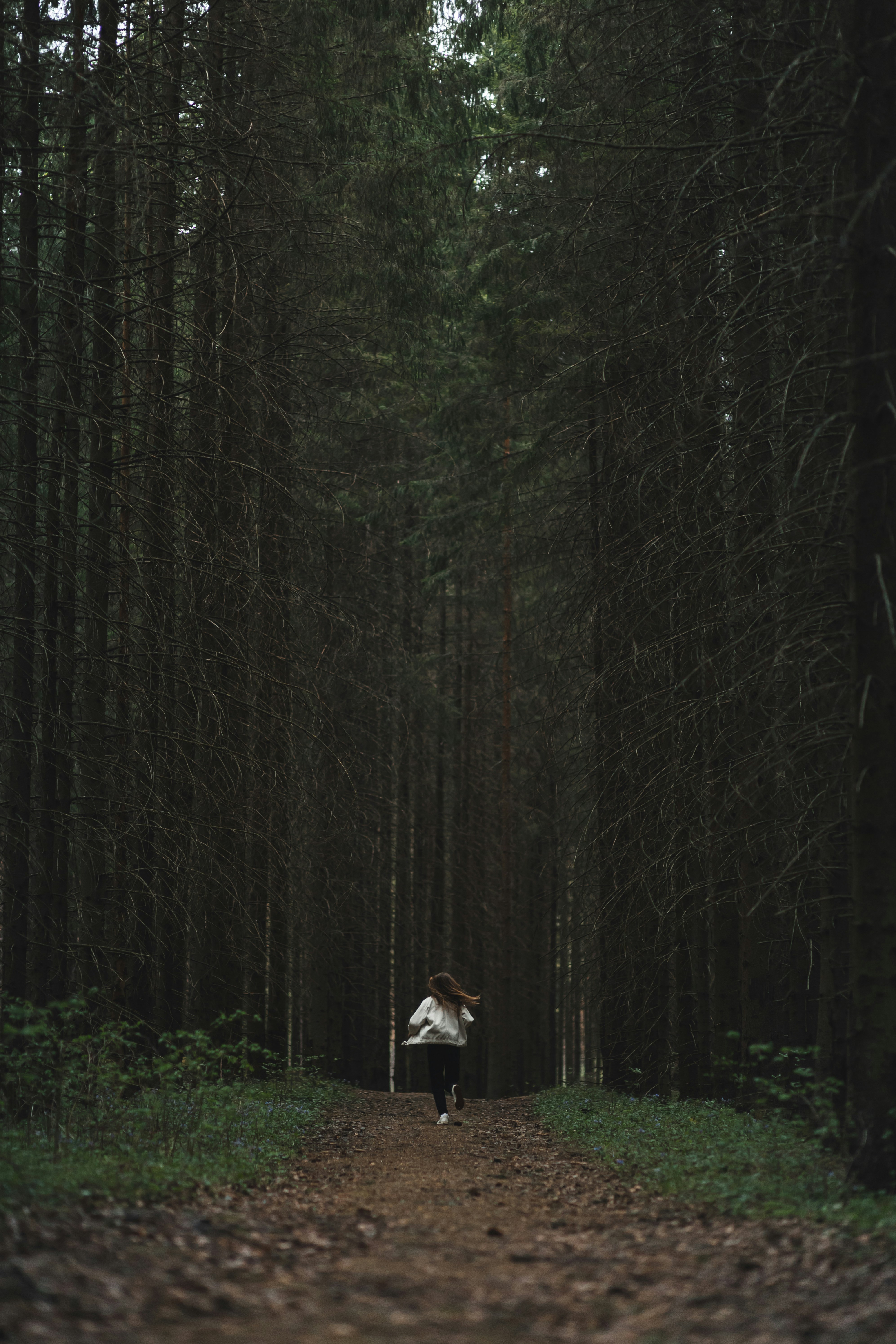 weißer und brauner Hund im Wald