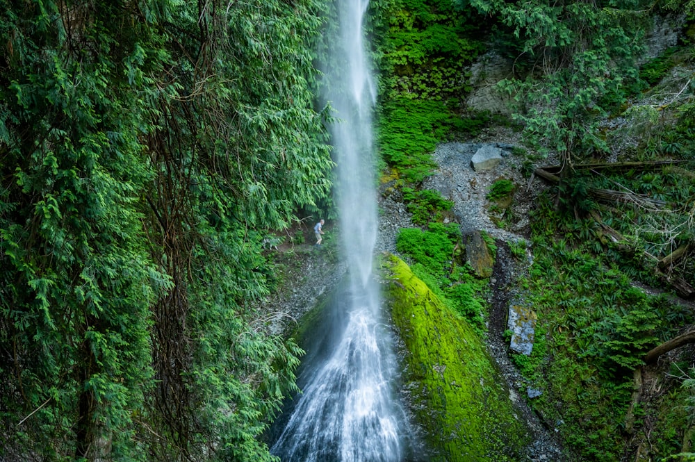 water falls in the middle of the forest