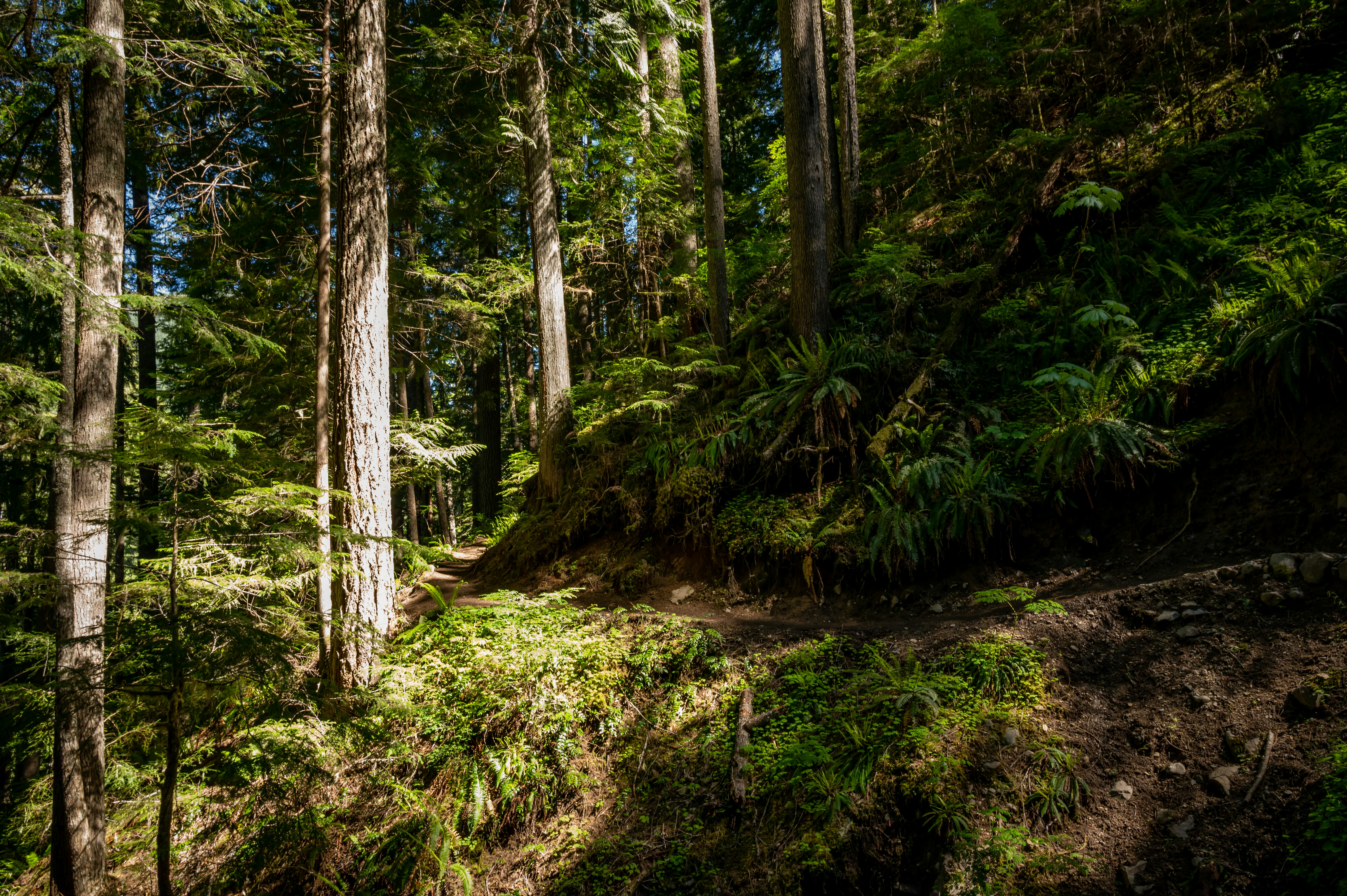 Photo by jennykwalsh