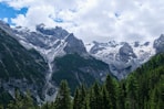 green pine trees near snow covered mountain during daytime